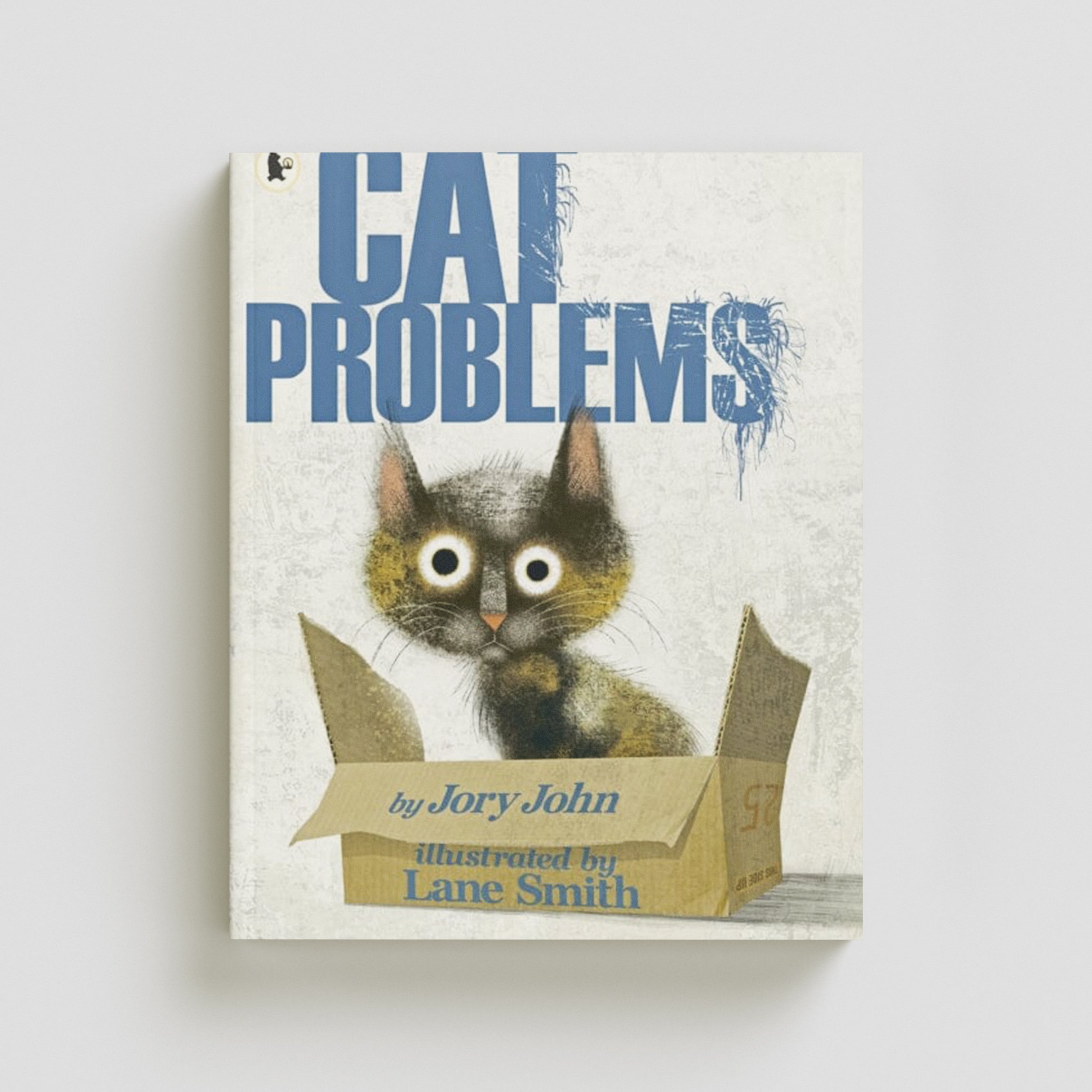 Cat Problems Paperback / softback