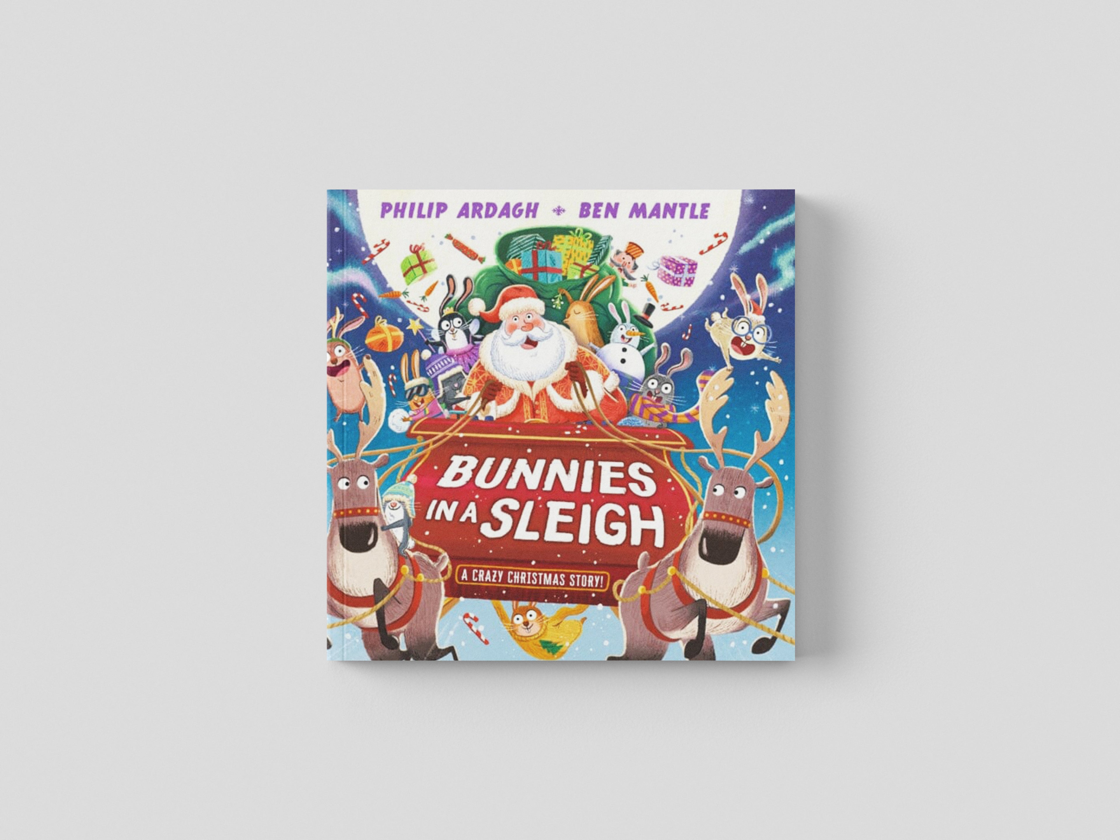 Bunnies in a Sleigh: A Crazy Christmas Story! Hardback