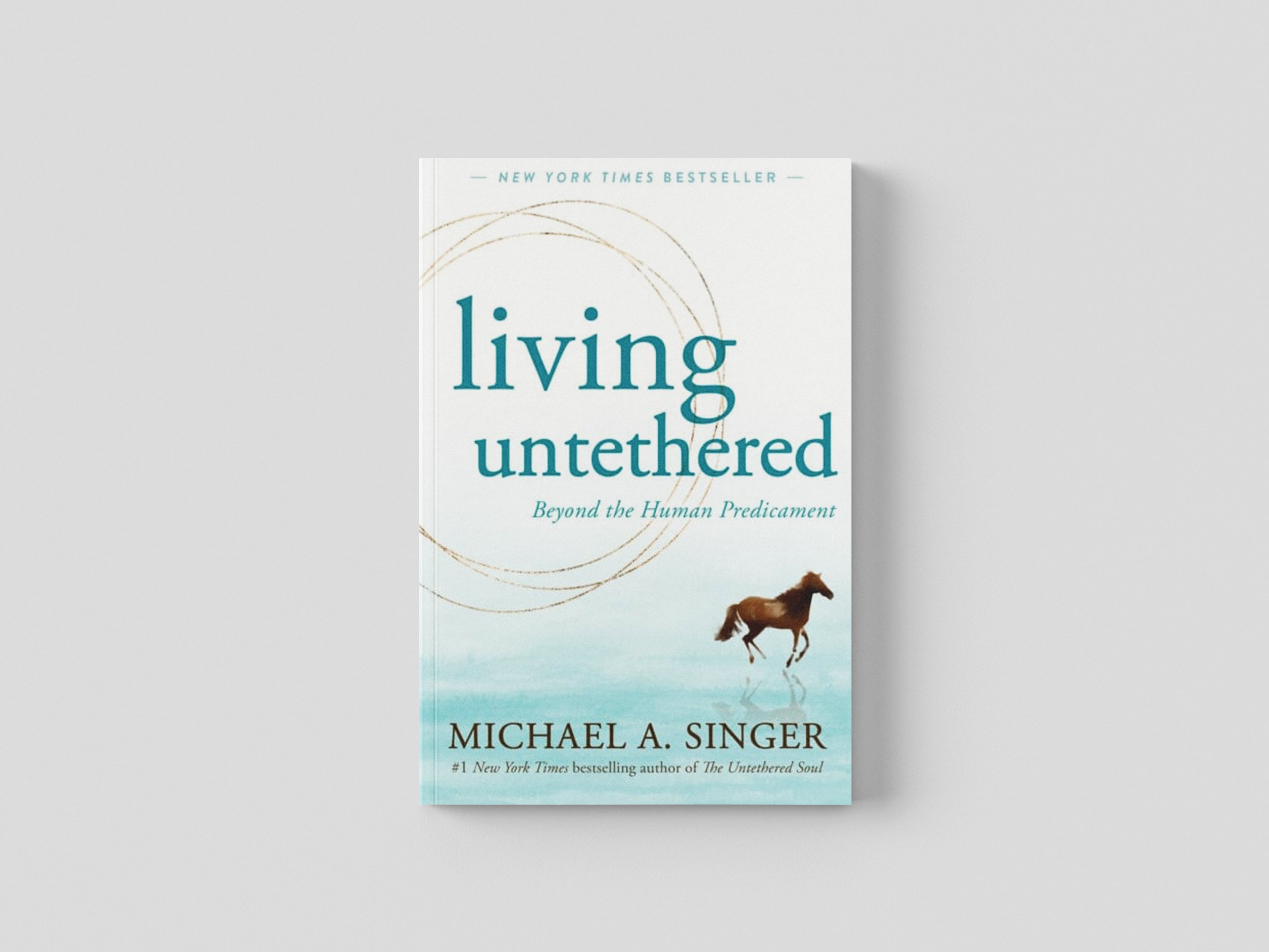 Living Untethered Paperback / softback