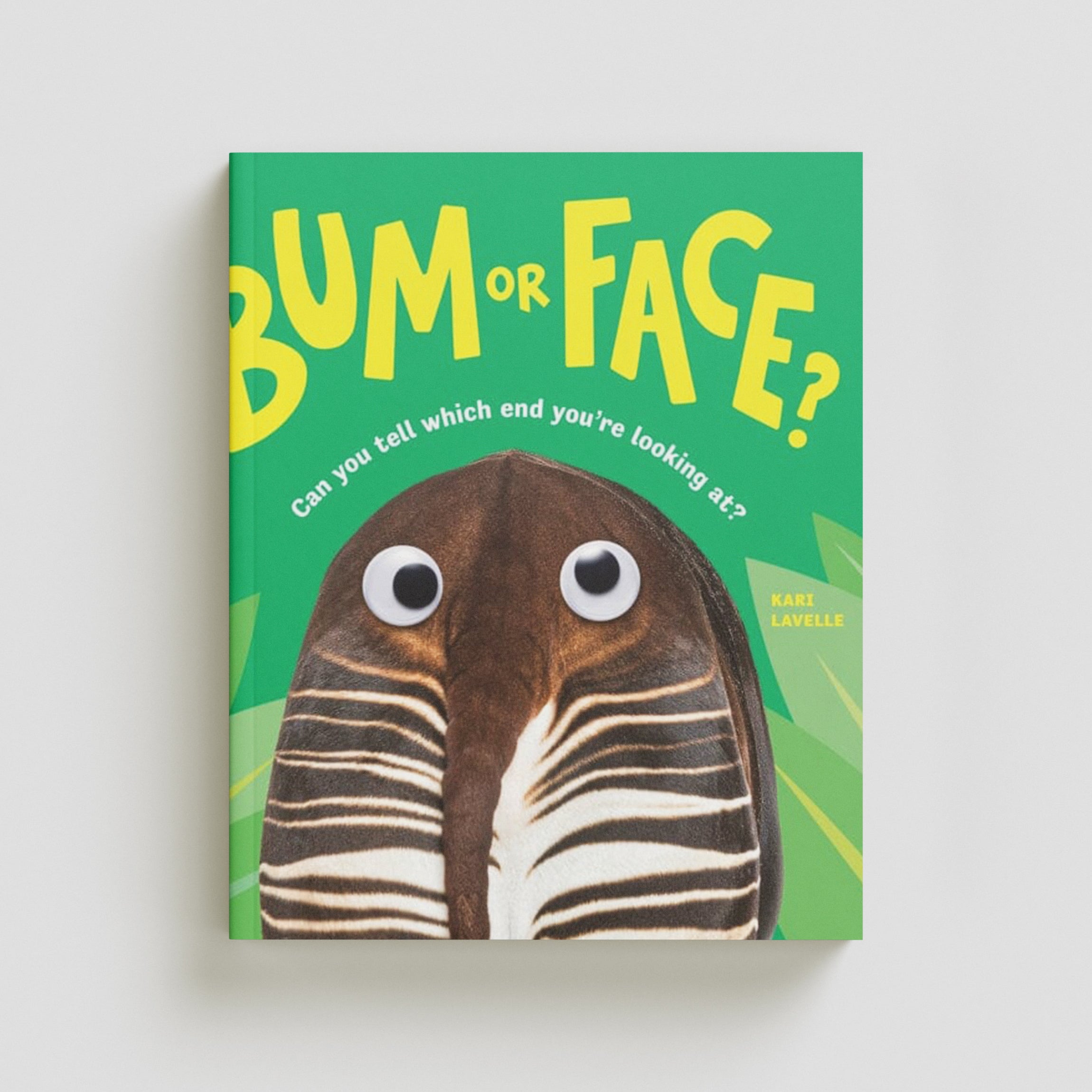 Bum or Face Paperback / softback