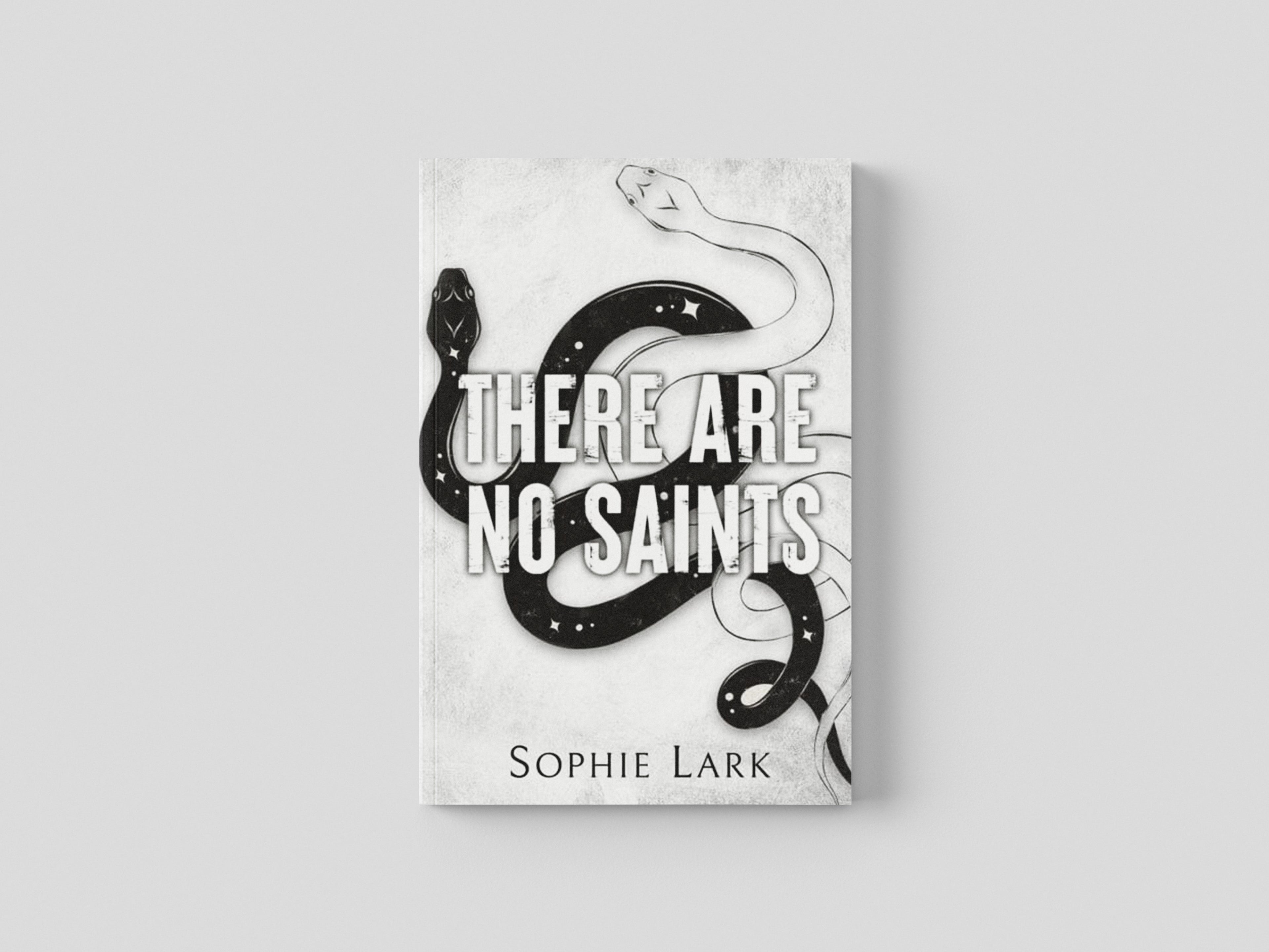 There Are No Saints Paperback / softback