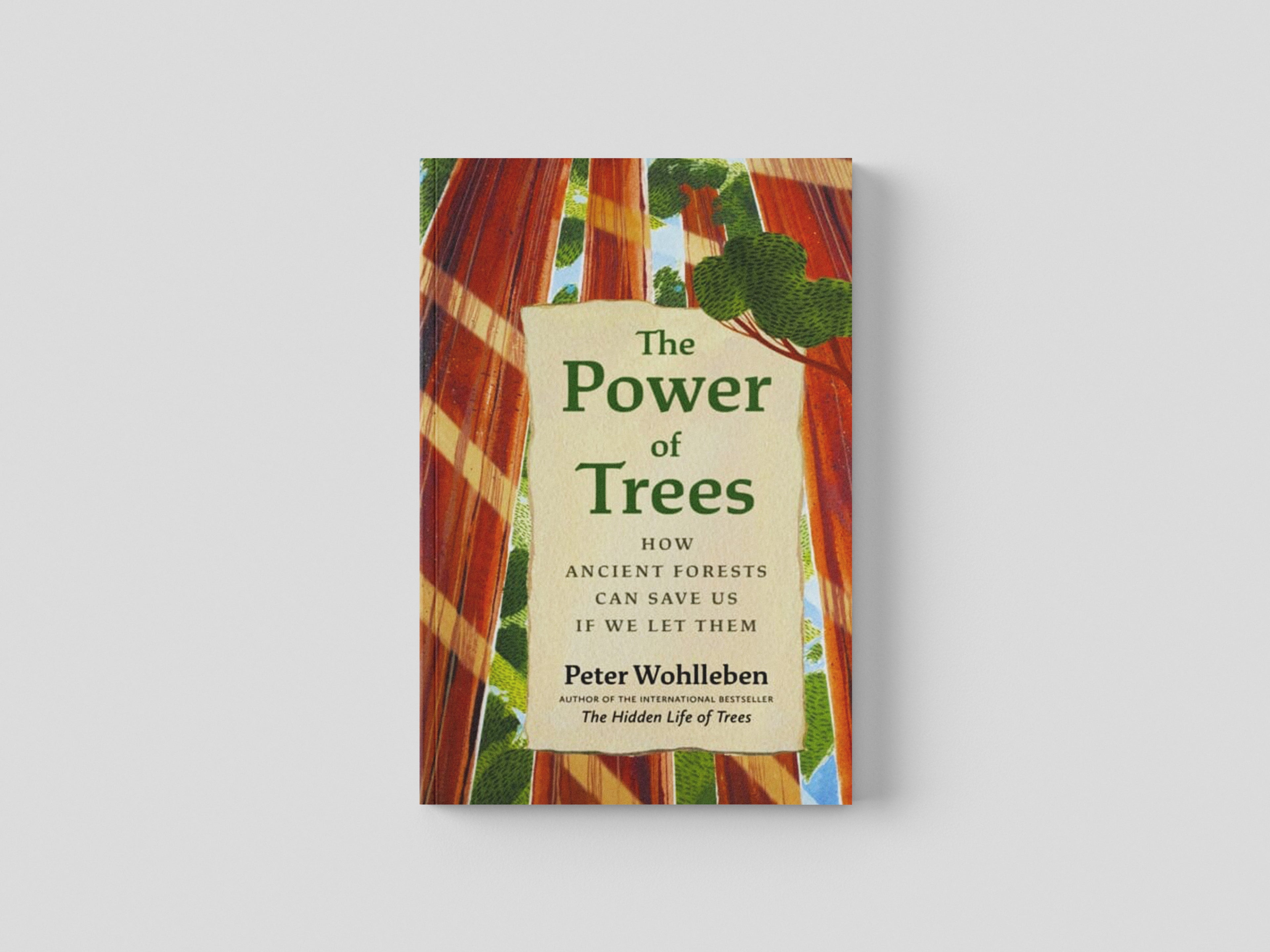 The Power of Trees Hardback