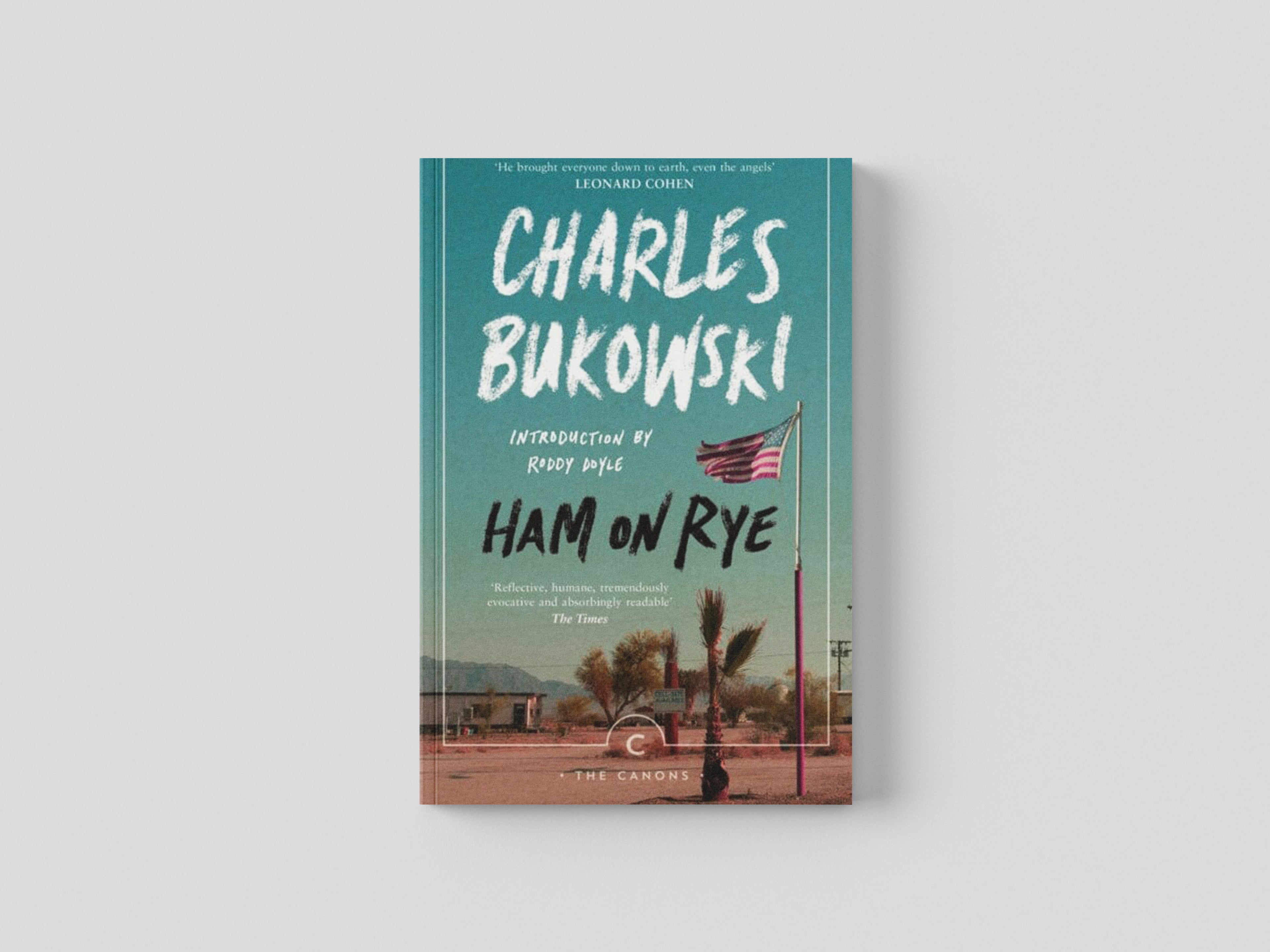 Ham On Rye Paperback / softback