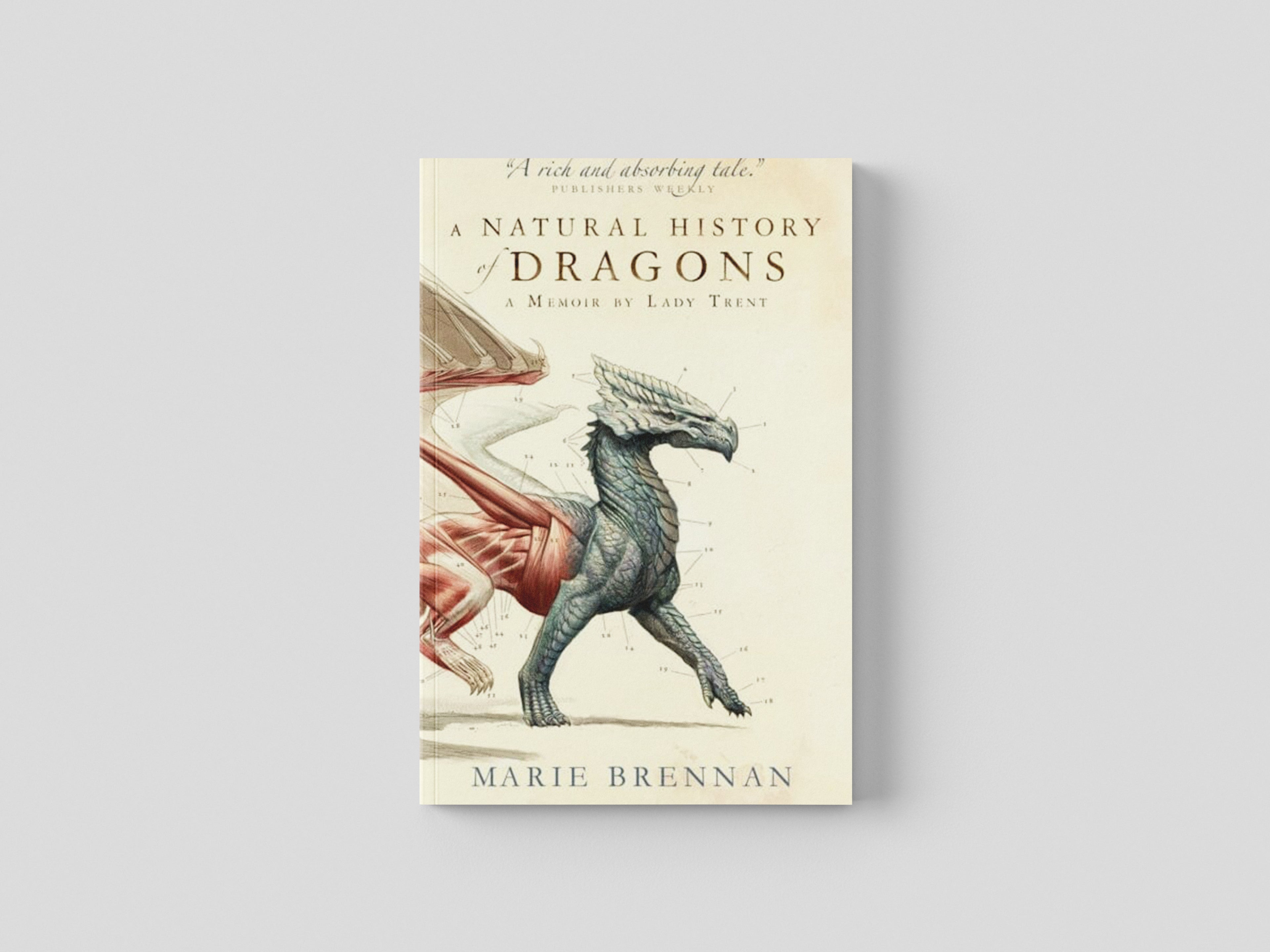 A Natural History of Dragons