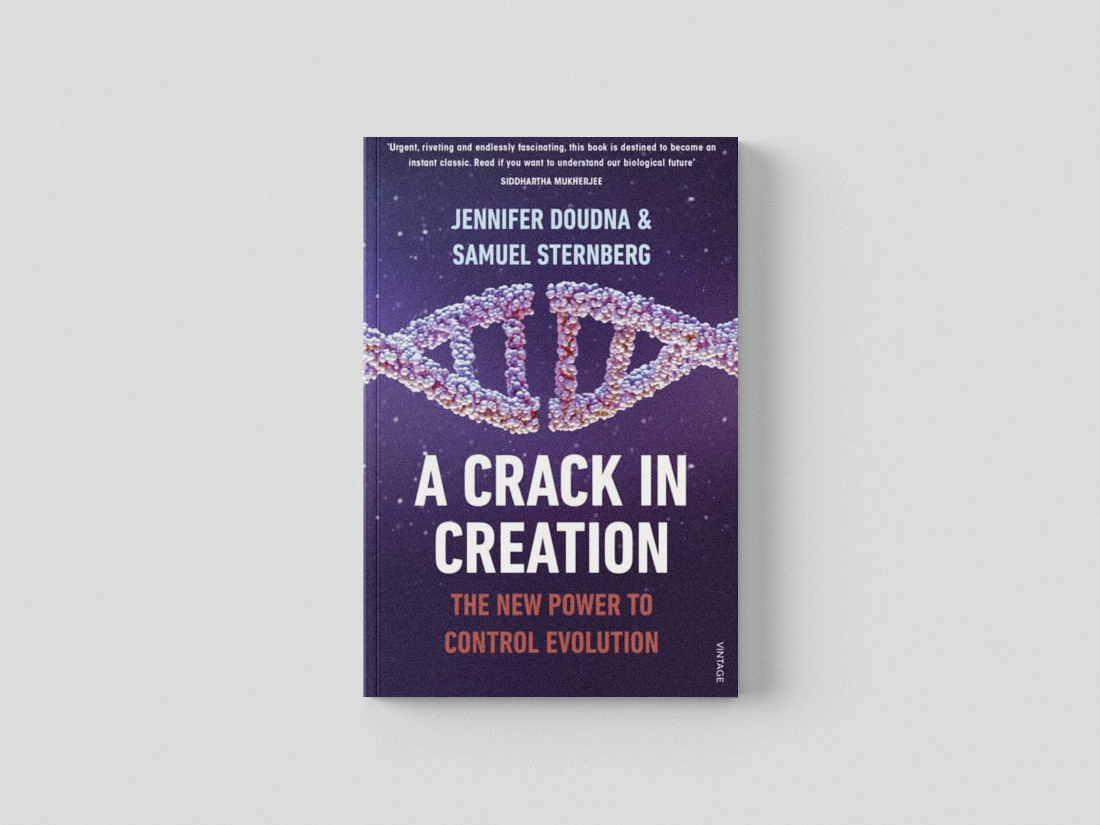 A Crack in Creation Paperback / softback