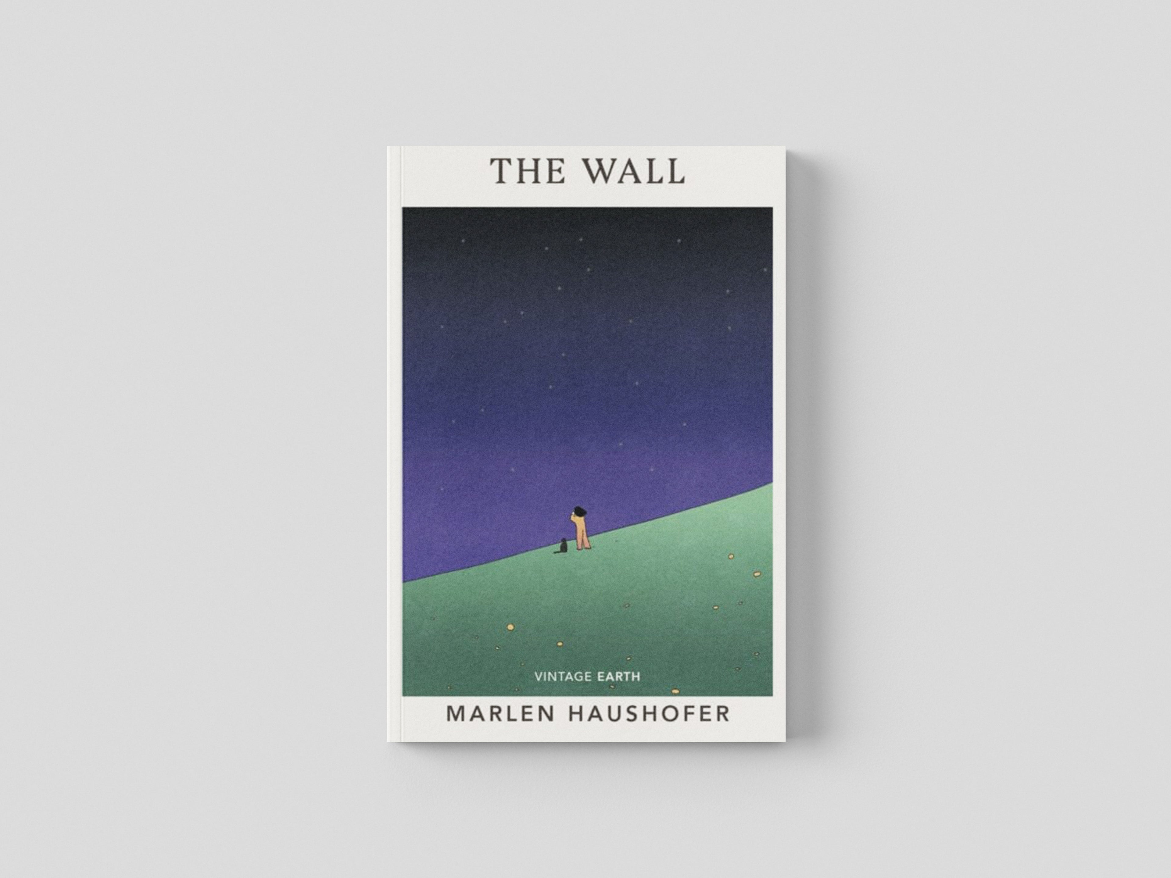 The Wall Paperback / softback
