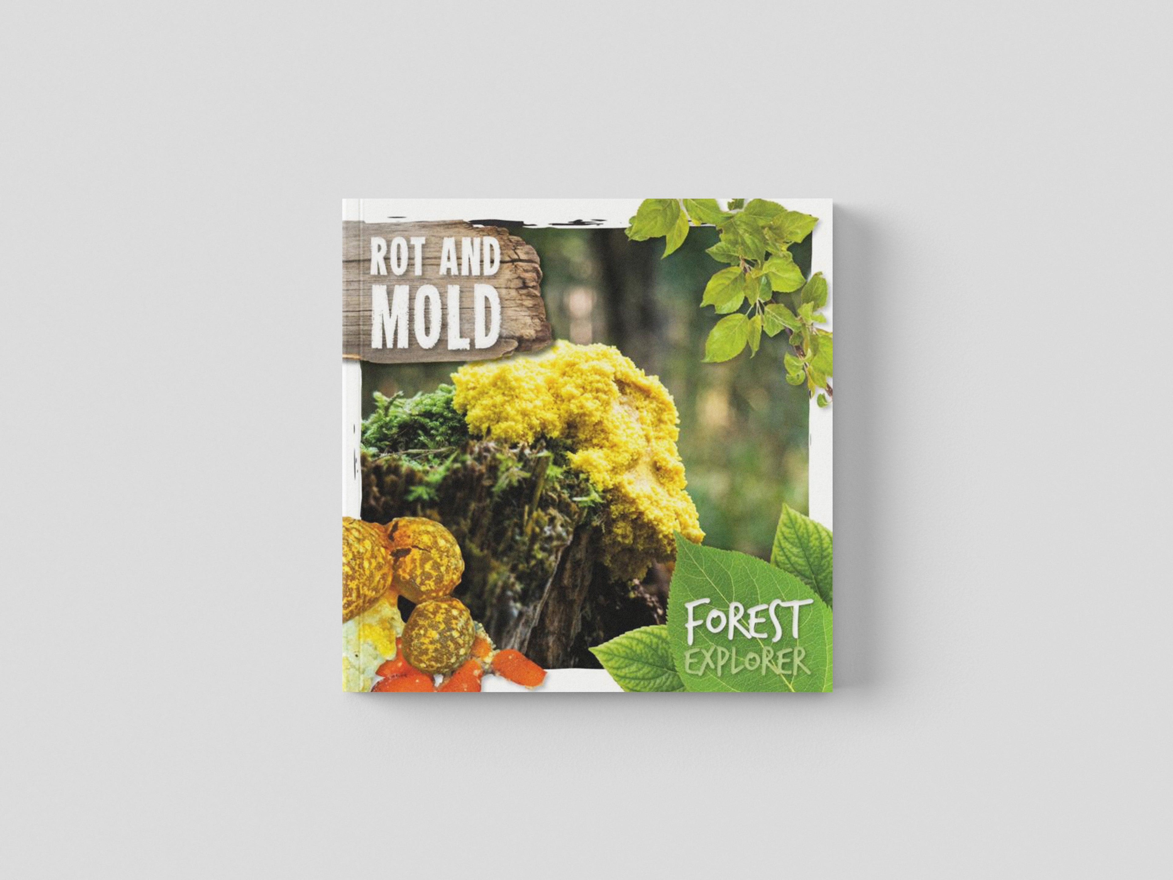Rot & Mould Hardback