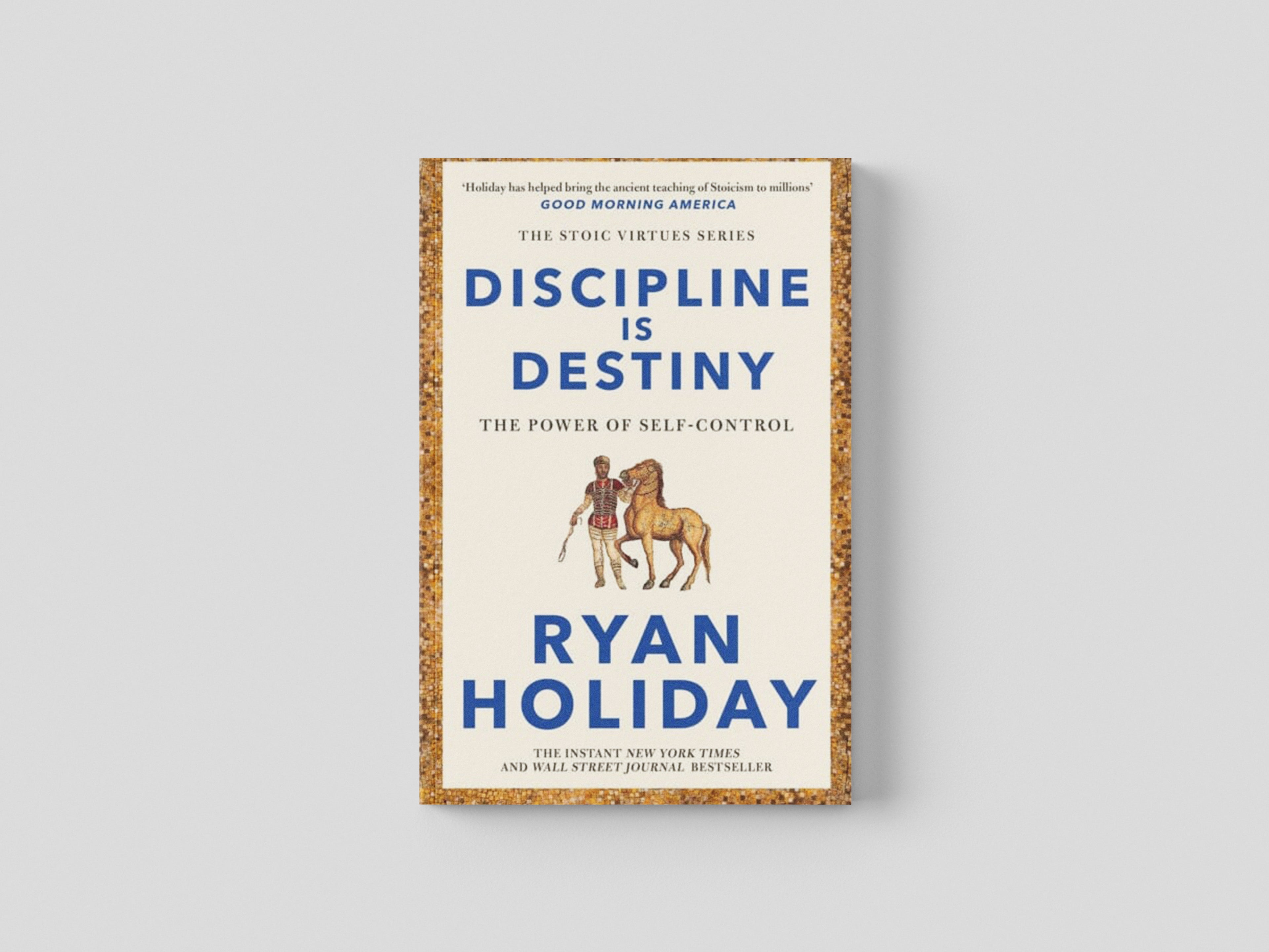 Discipline Is Destiny Paperback / softback