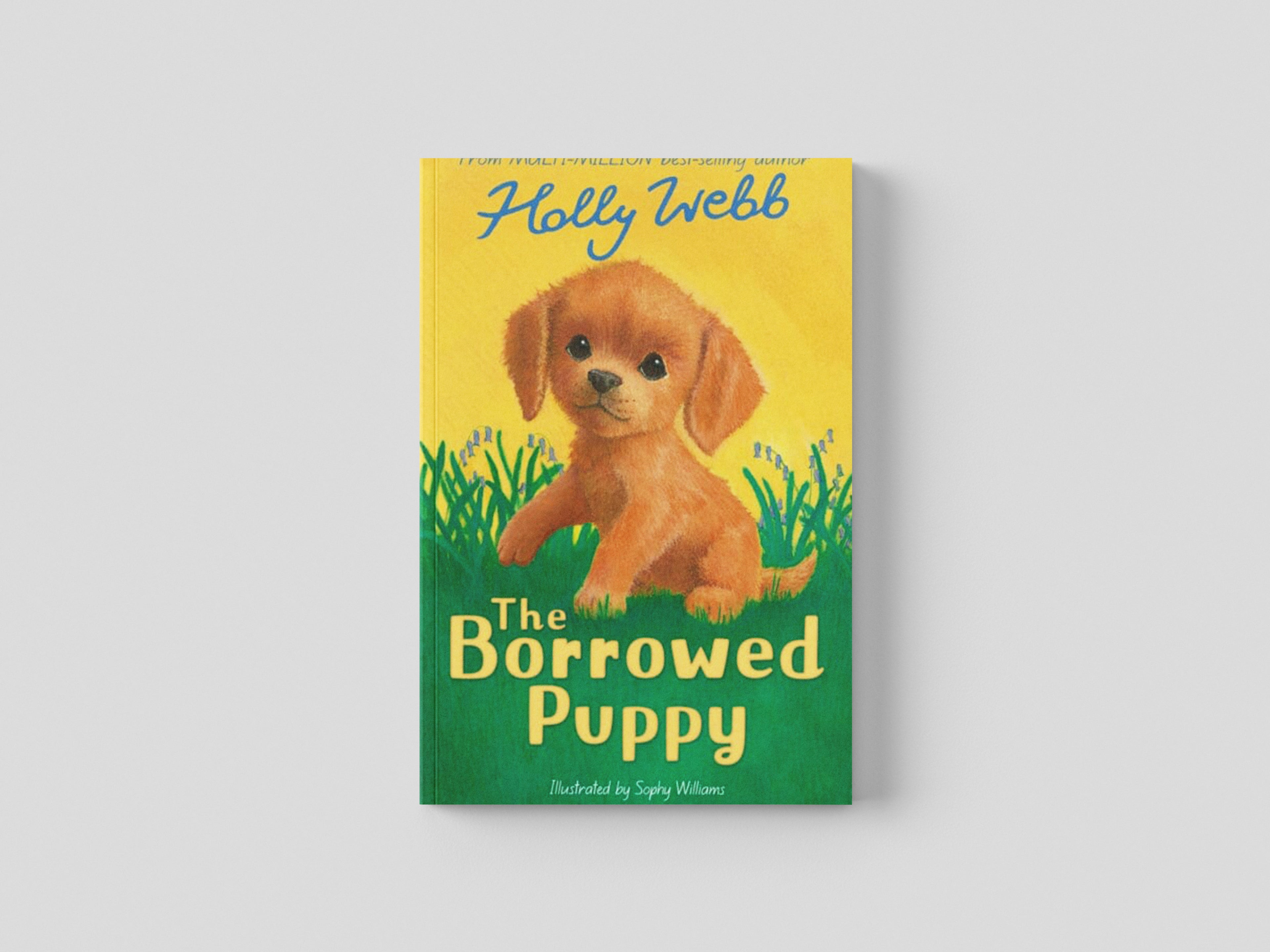 The Borrowed Puppy Paperback / softback