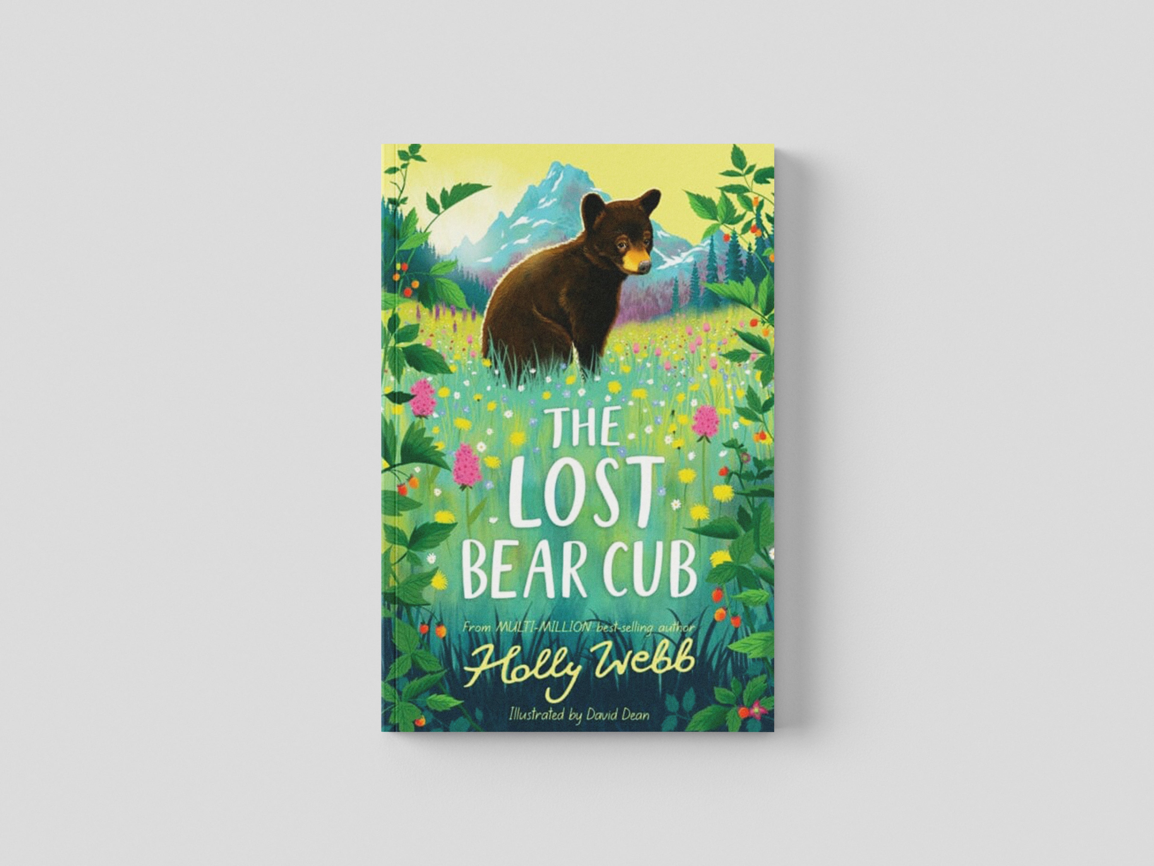 The Lost Bear Cub Paperback / softback