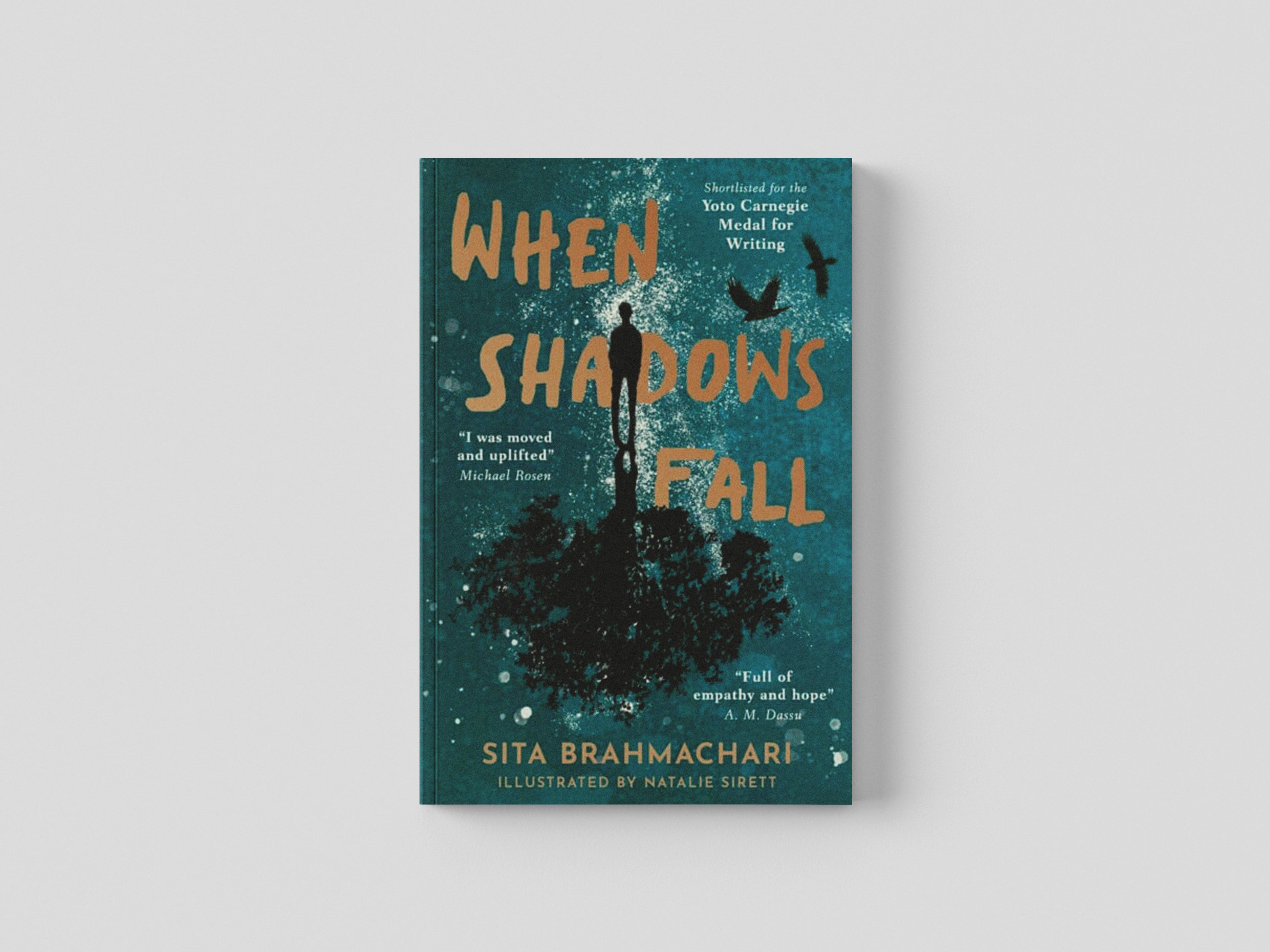 When Shadows Fall Paperback / softback