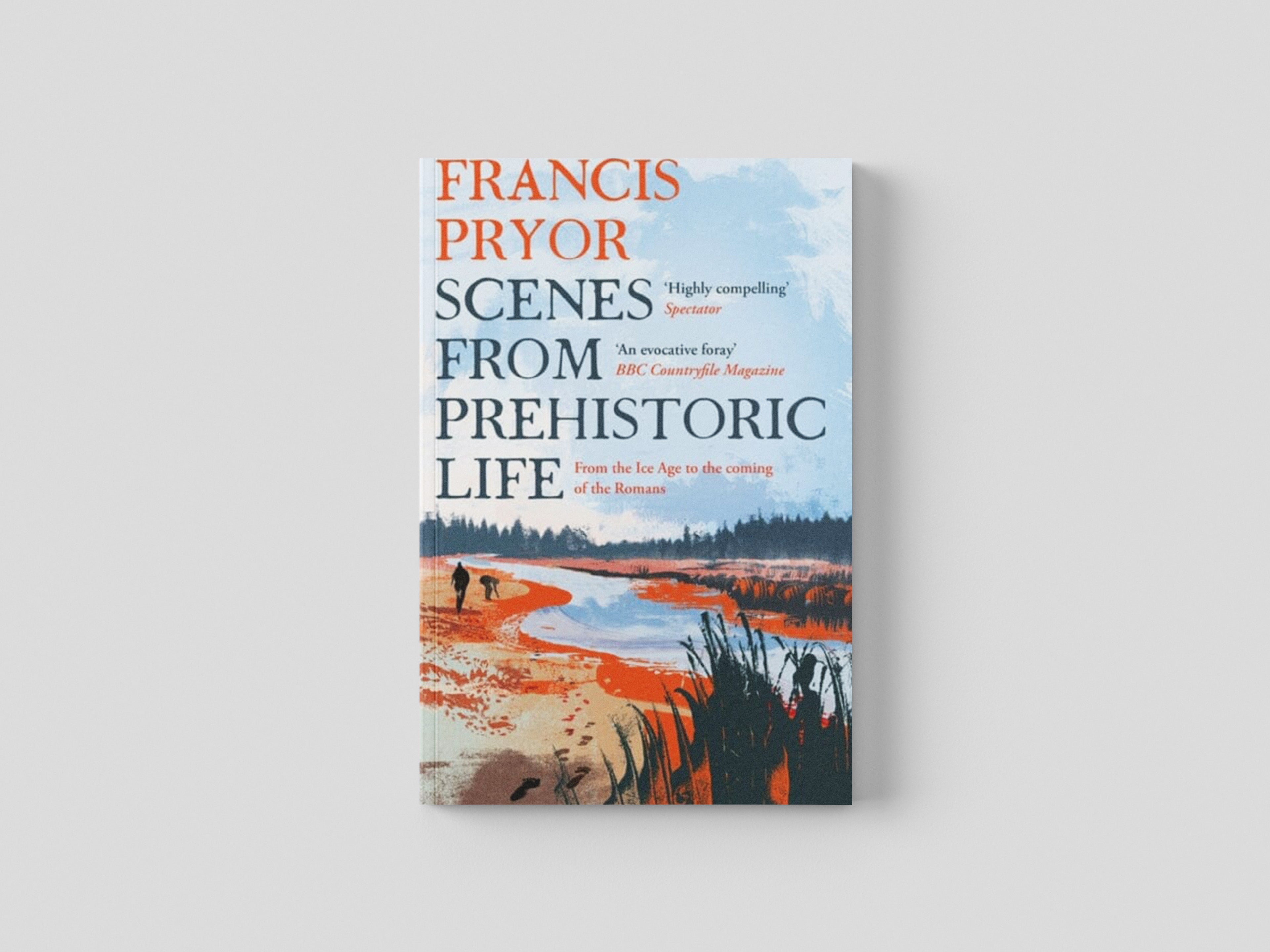 Scenes from Prehistoric Life Paperback / softback