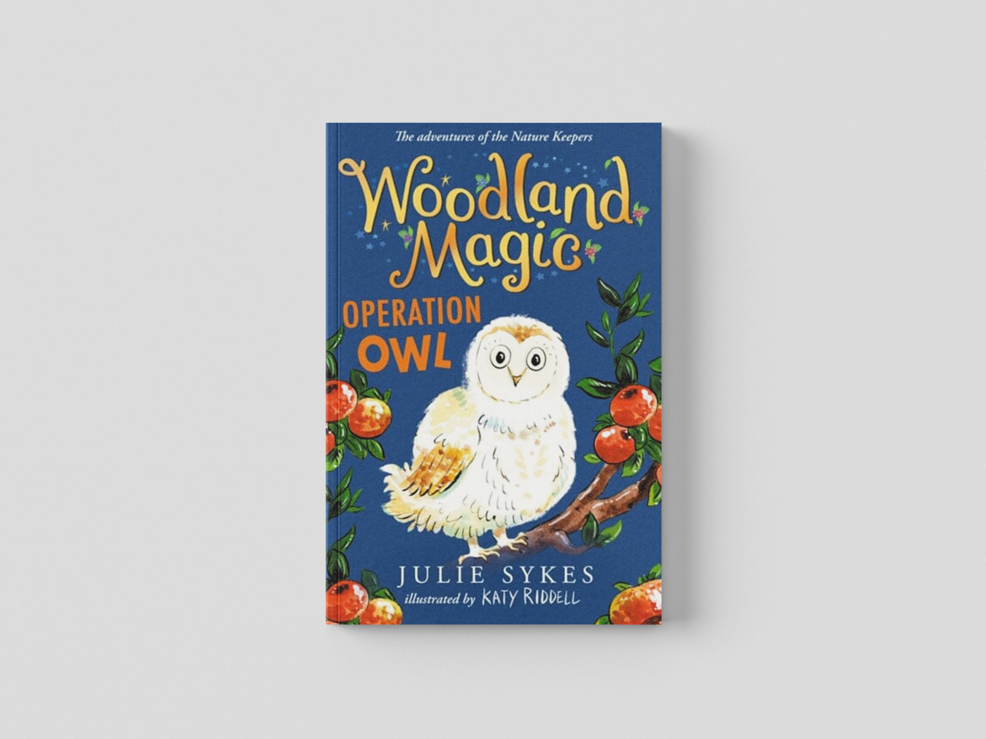 Woodland Magic 4: Operation Owl Paperback / softback