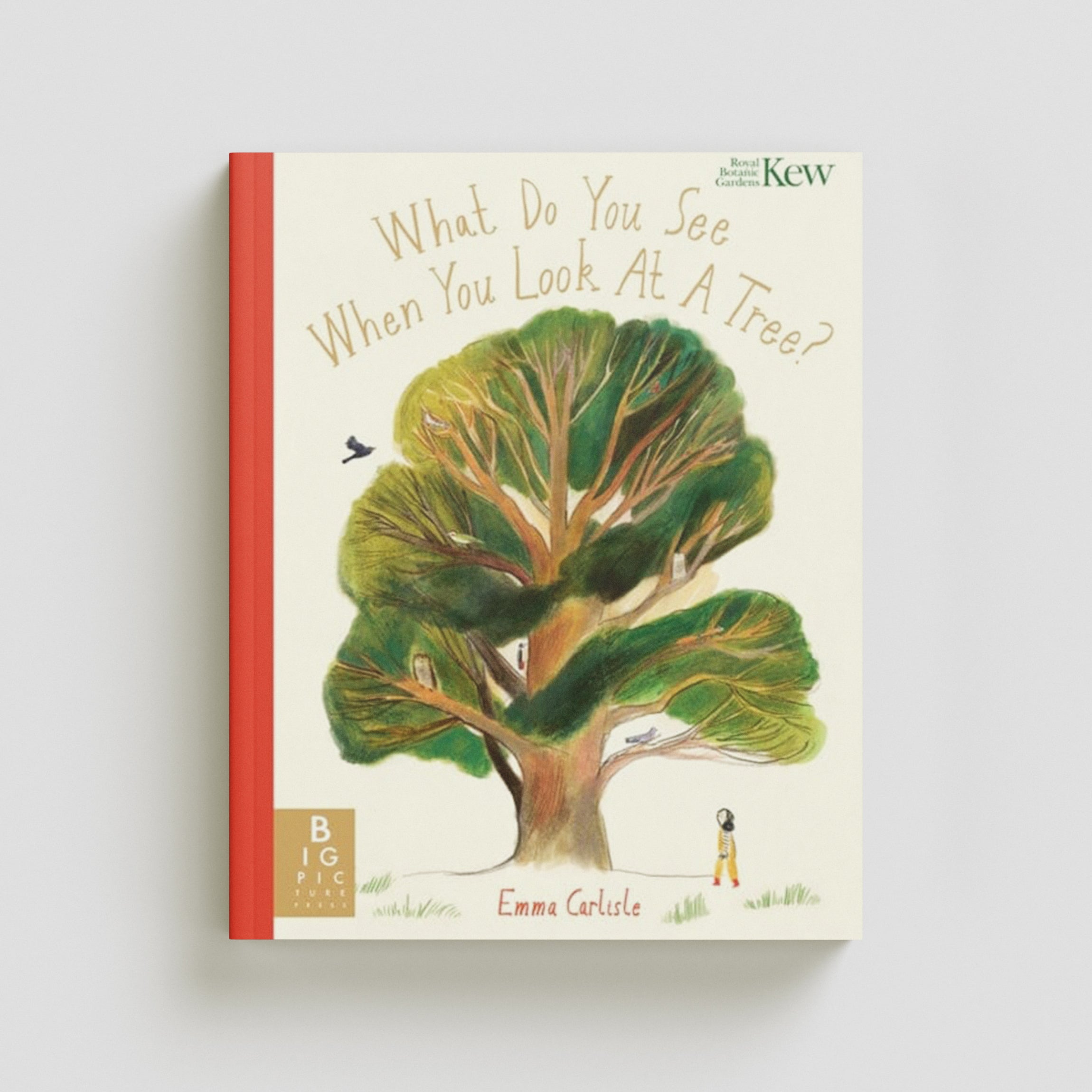 What Do You See When You Look At a Tree? Paperback / softback