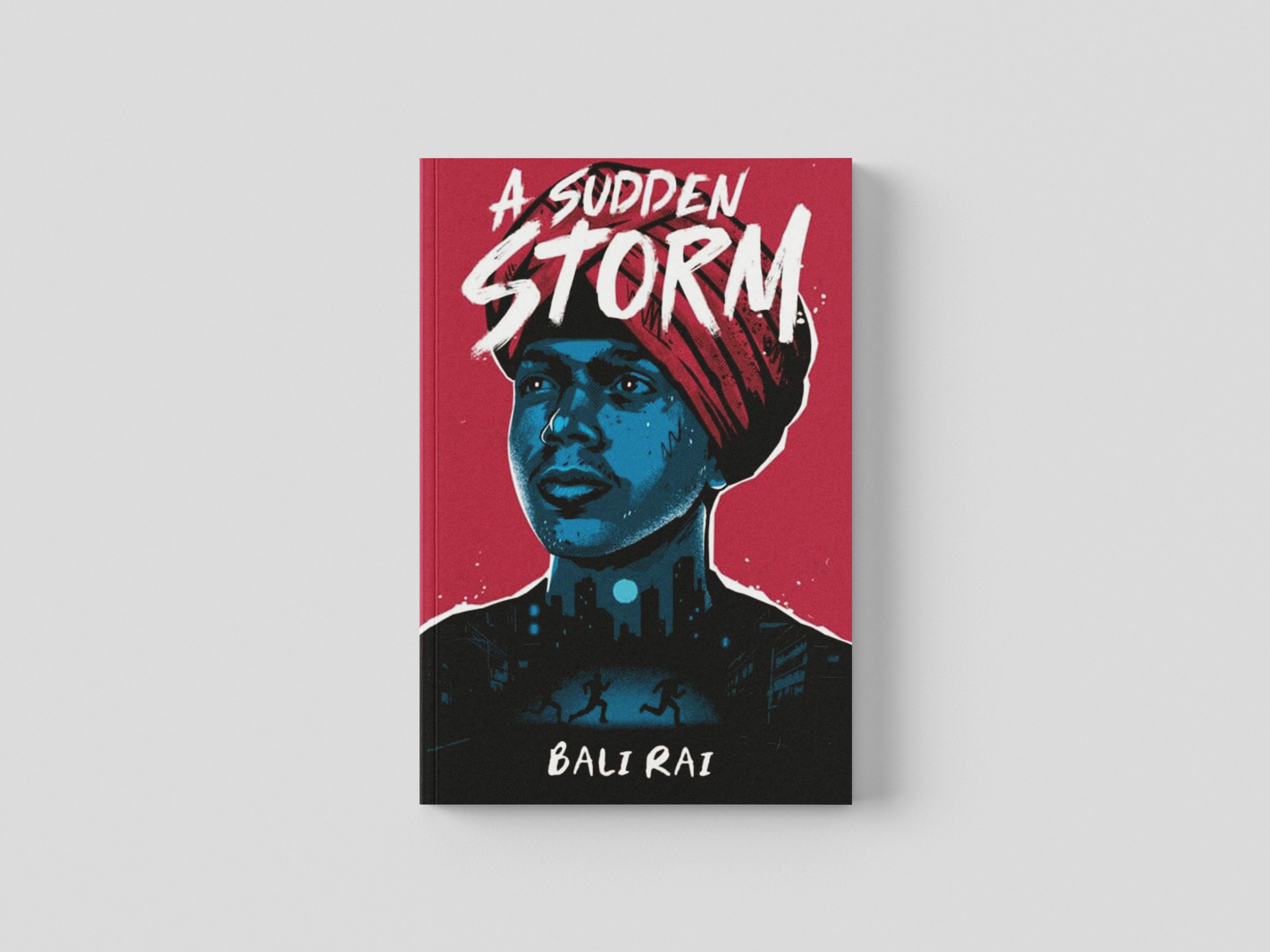 A Sudden Storm Paperback / softback