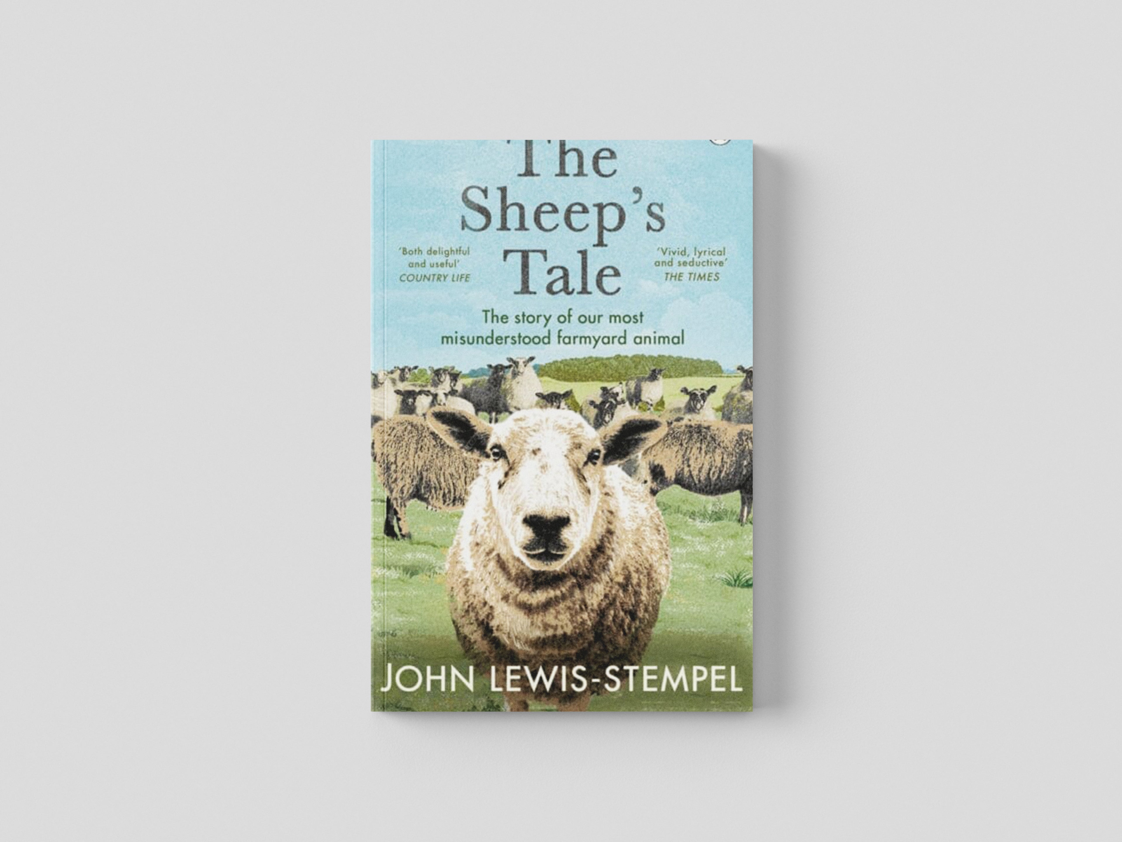 The Sheep’s Tale Paperback / softback