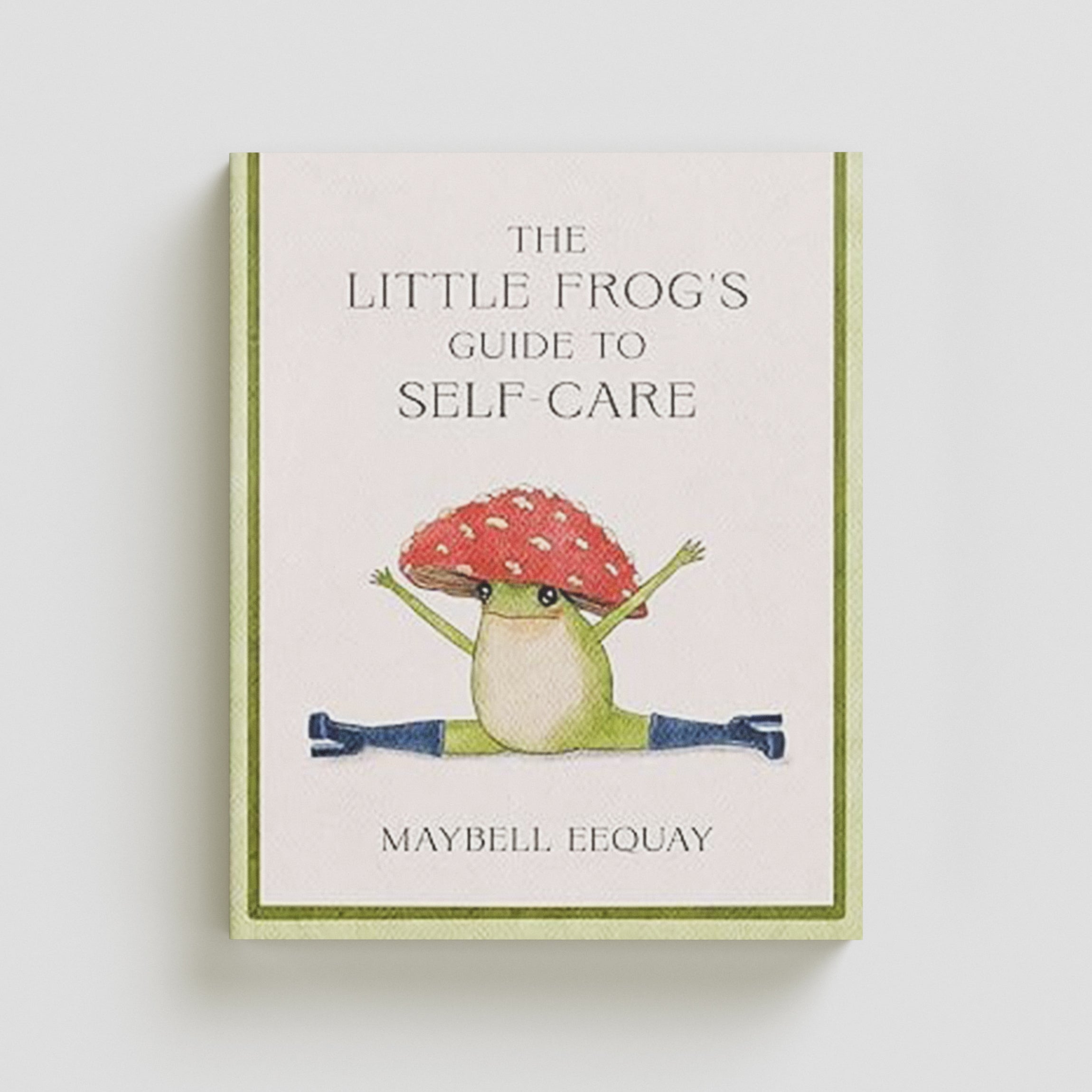 The Little Frog's Guide to Self-Care Hardback
