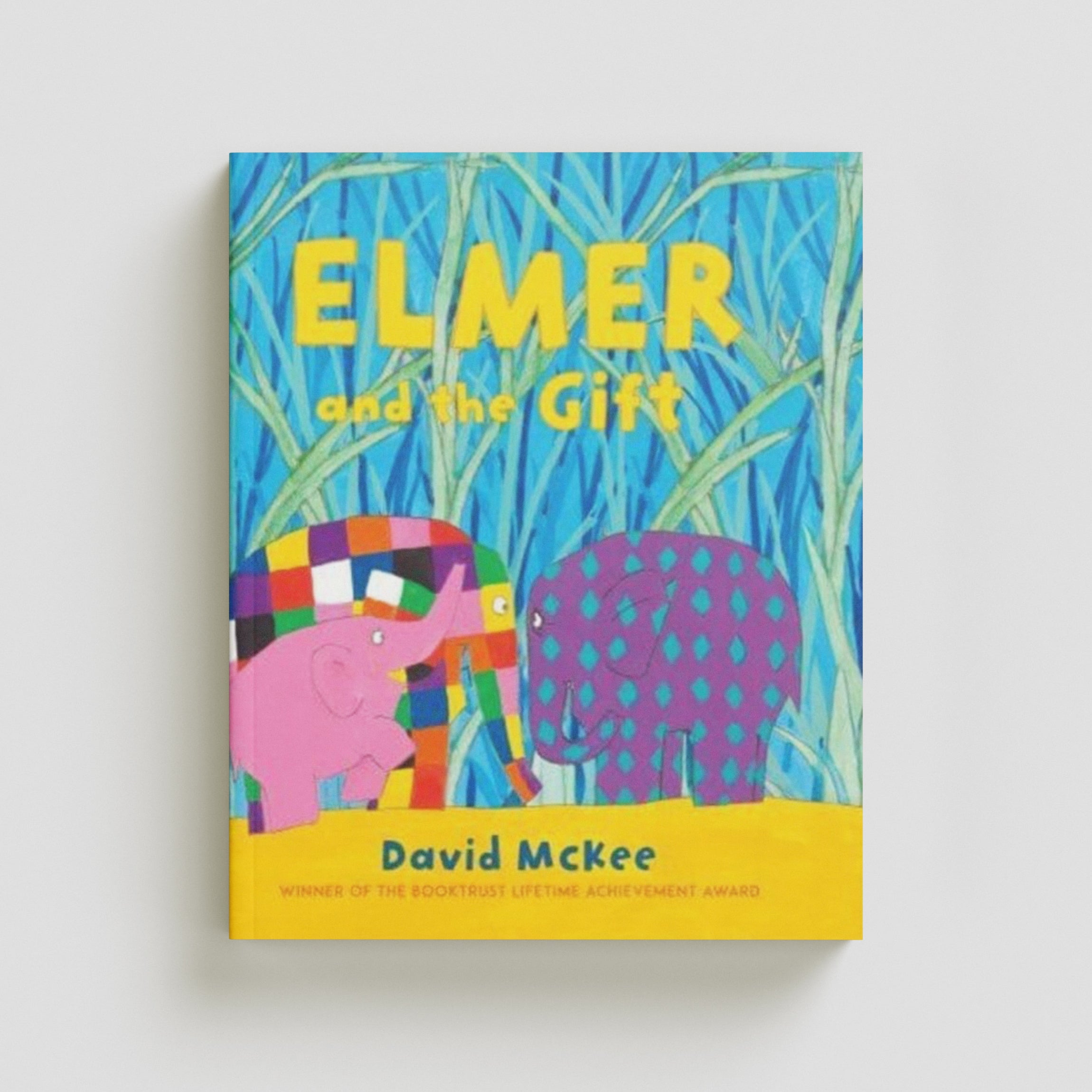 Elmer and the Gift Paperback / softback