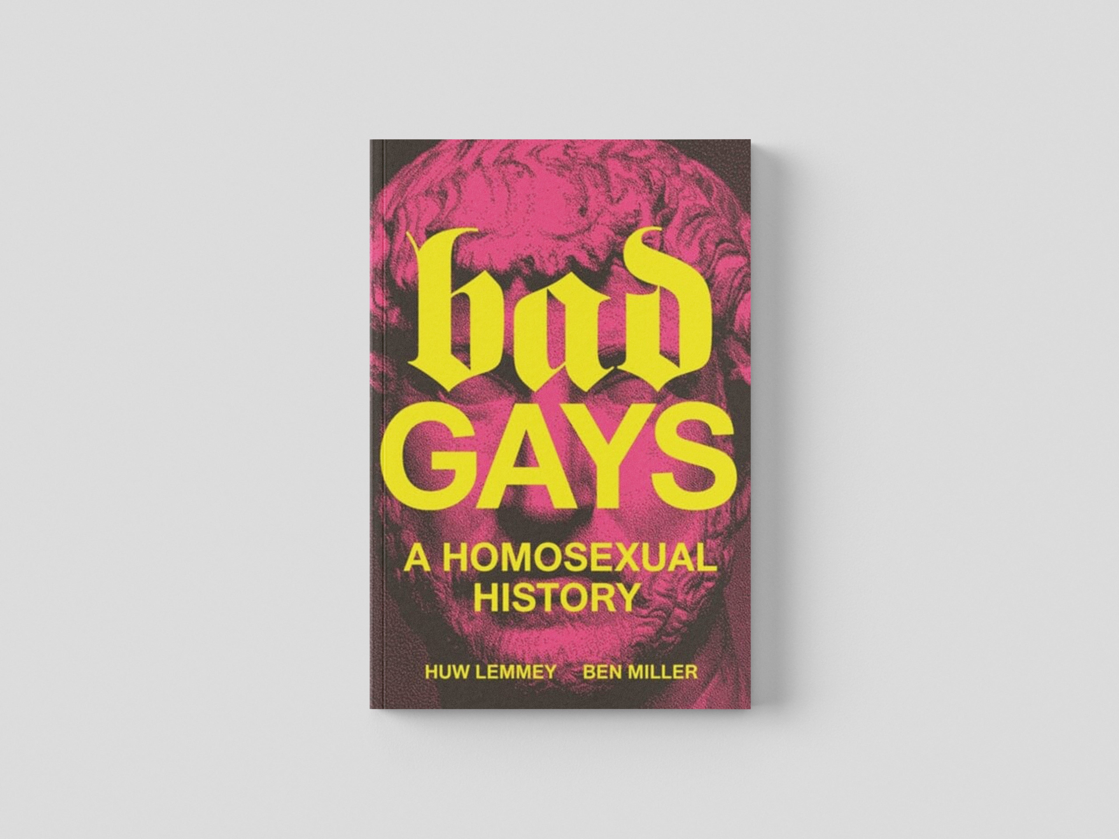 Bad Gays Paperback / softback