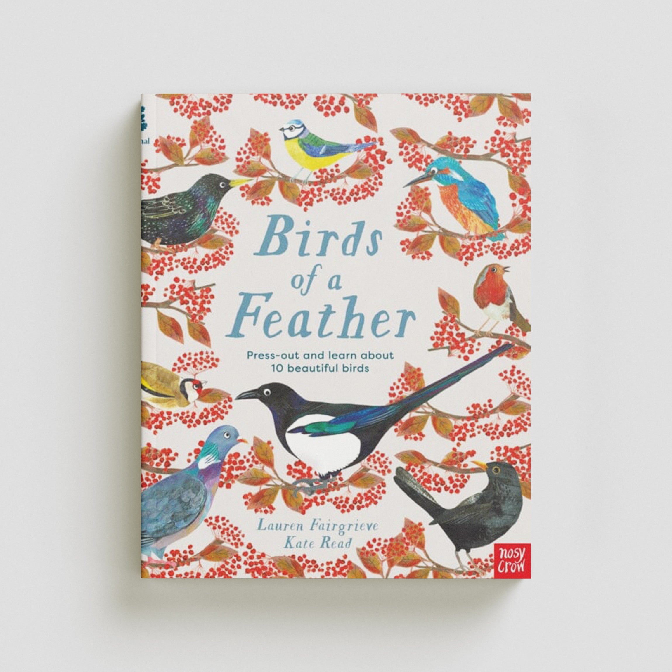 National Trust: Birds of a Feather: Press out and learn about 10 beautiful birds