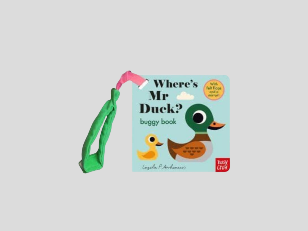 Where's Mr Duck?