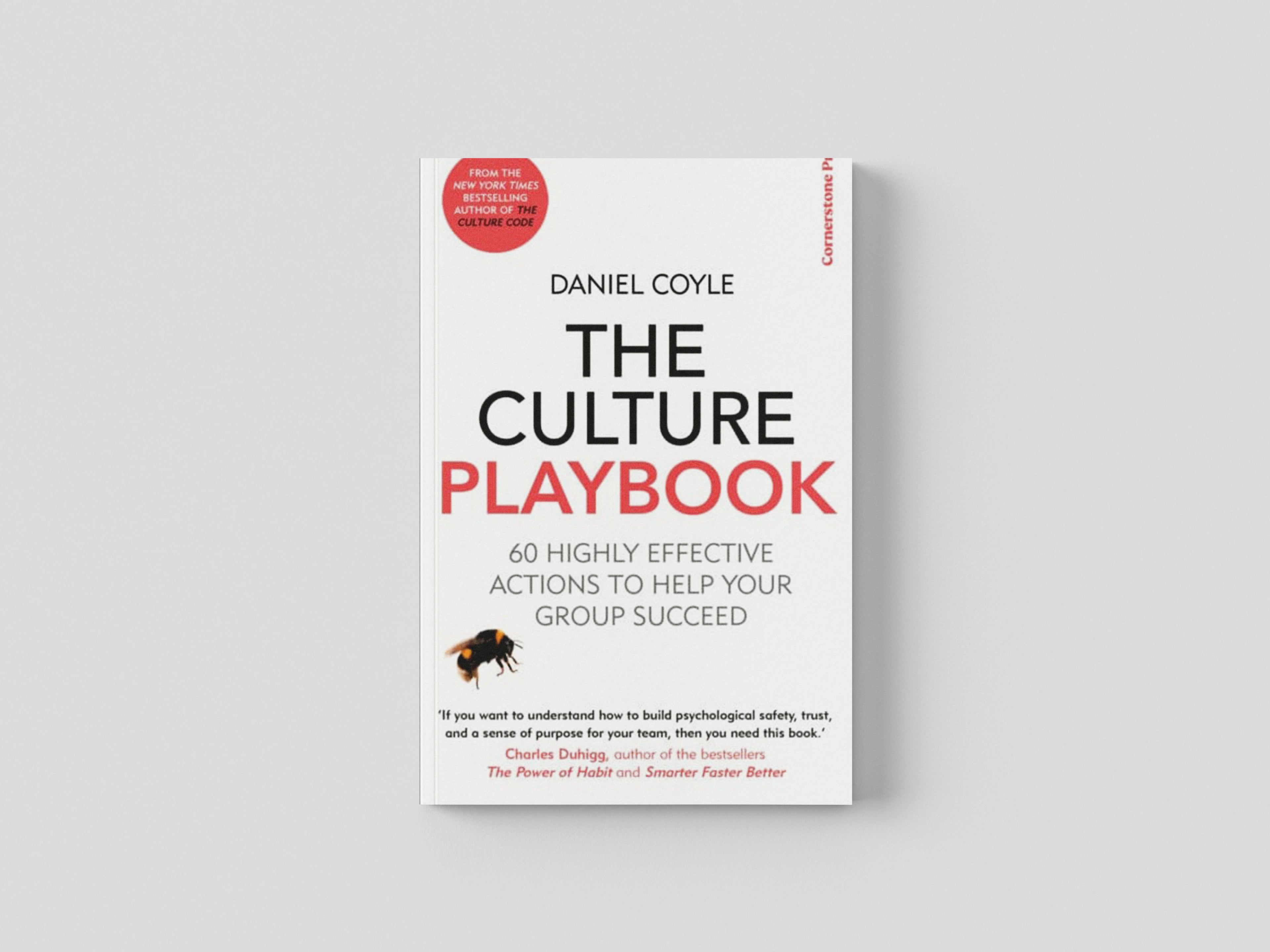 The Culture Playbook Paperback / softback