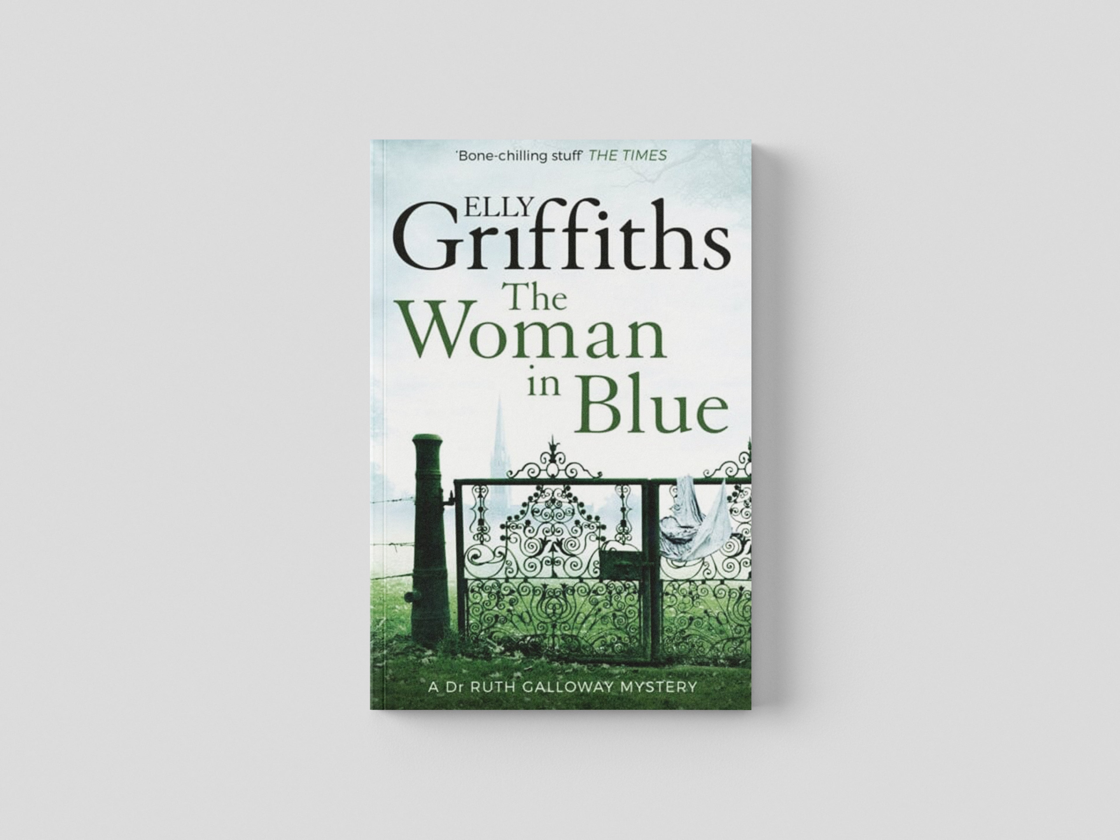 The Woman In Blue Paperback / softback