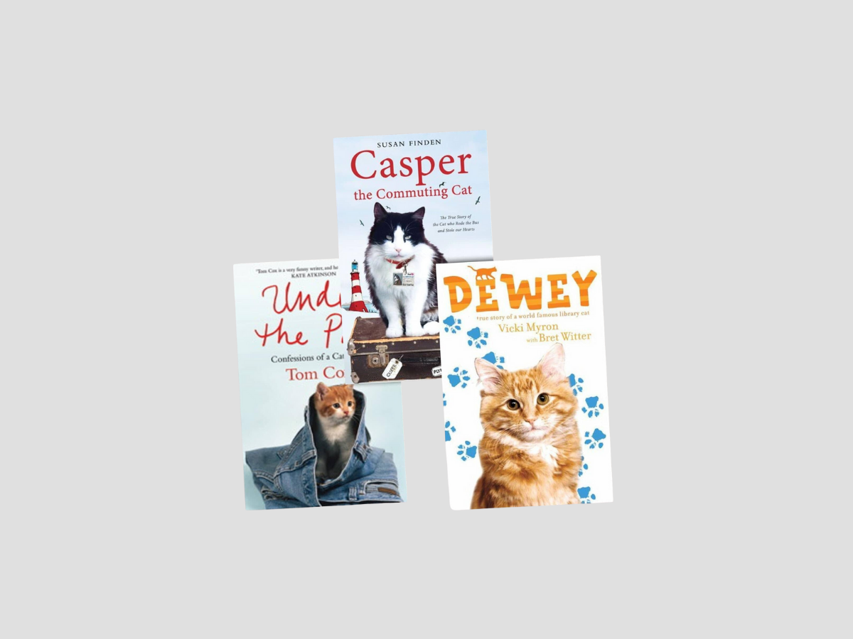 Cat Adventure Collection