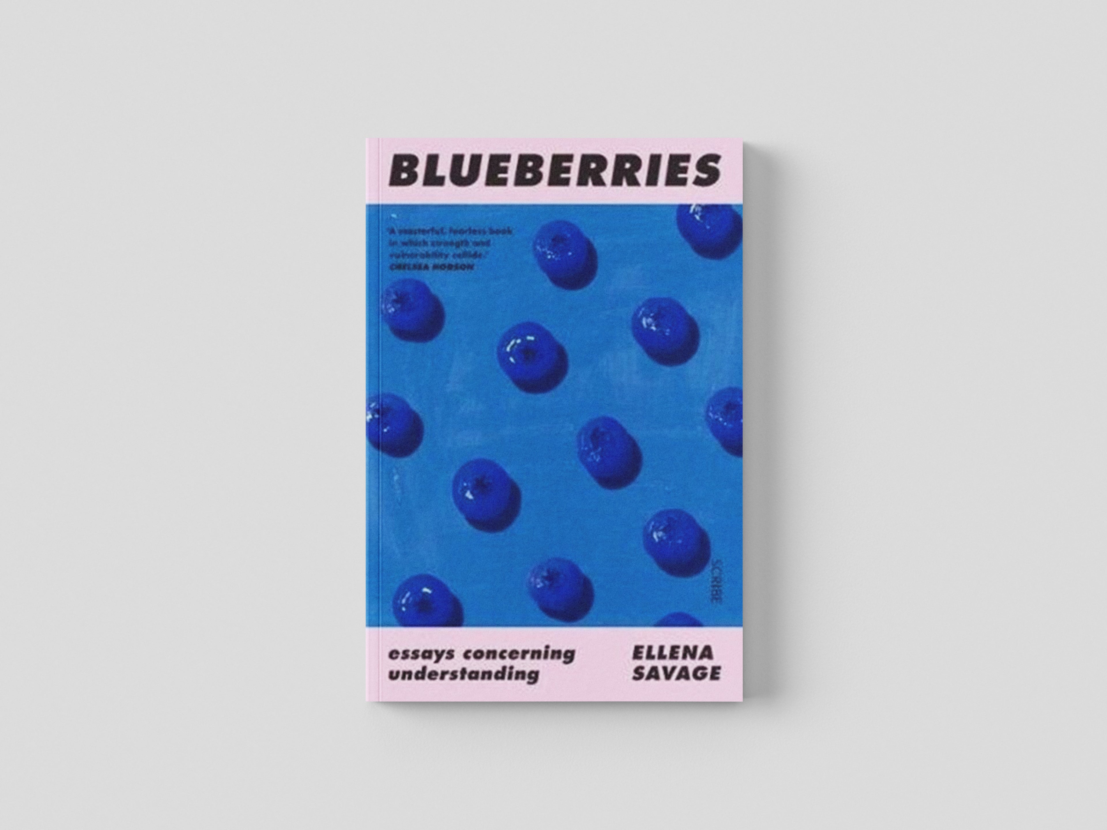 Blueberries : essays concerning understanding