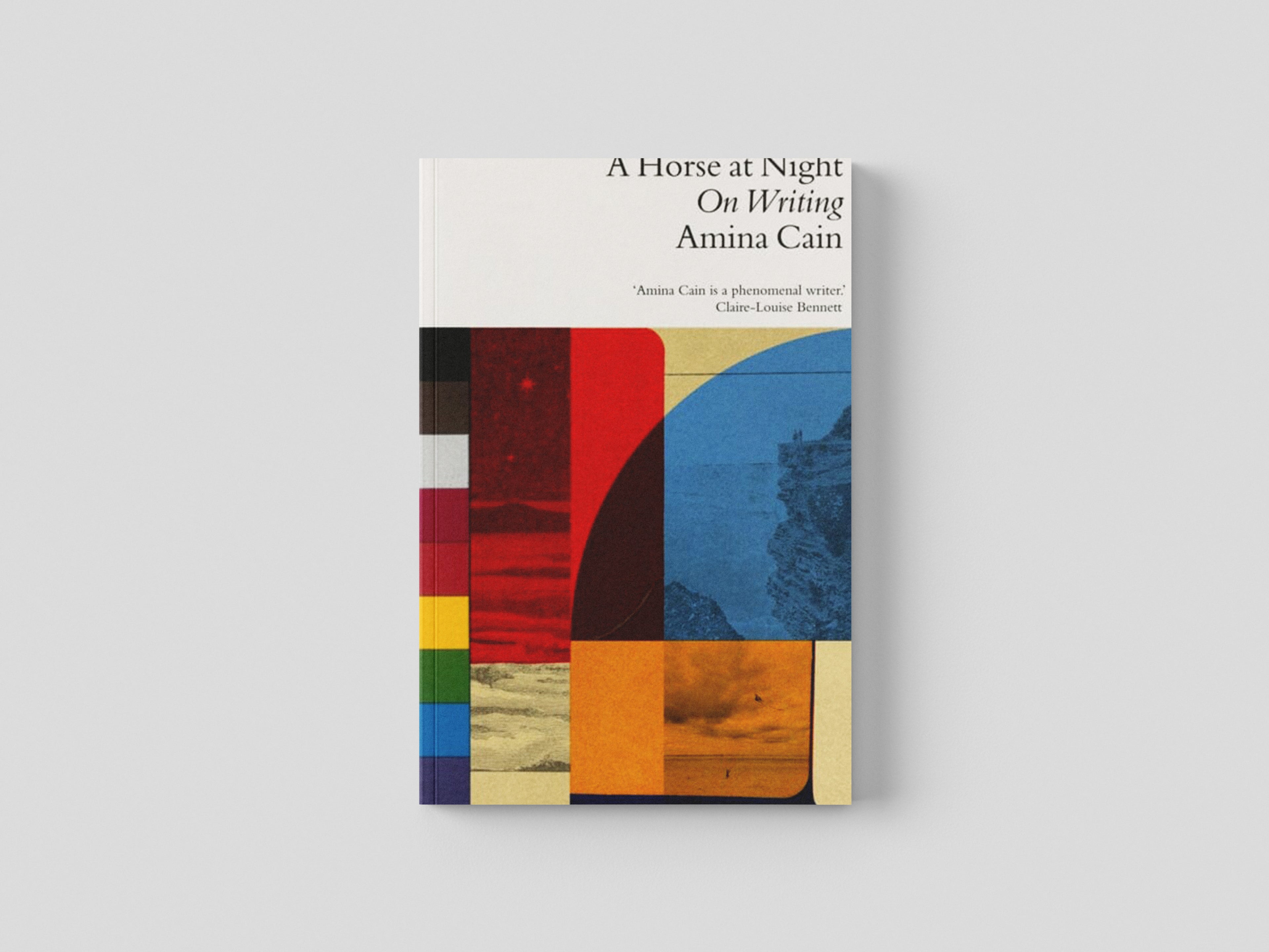 A Horse at Night : On Writing