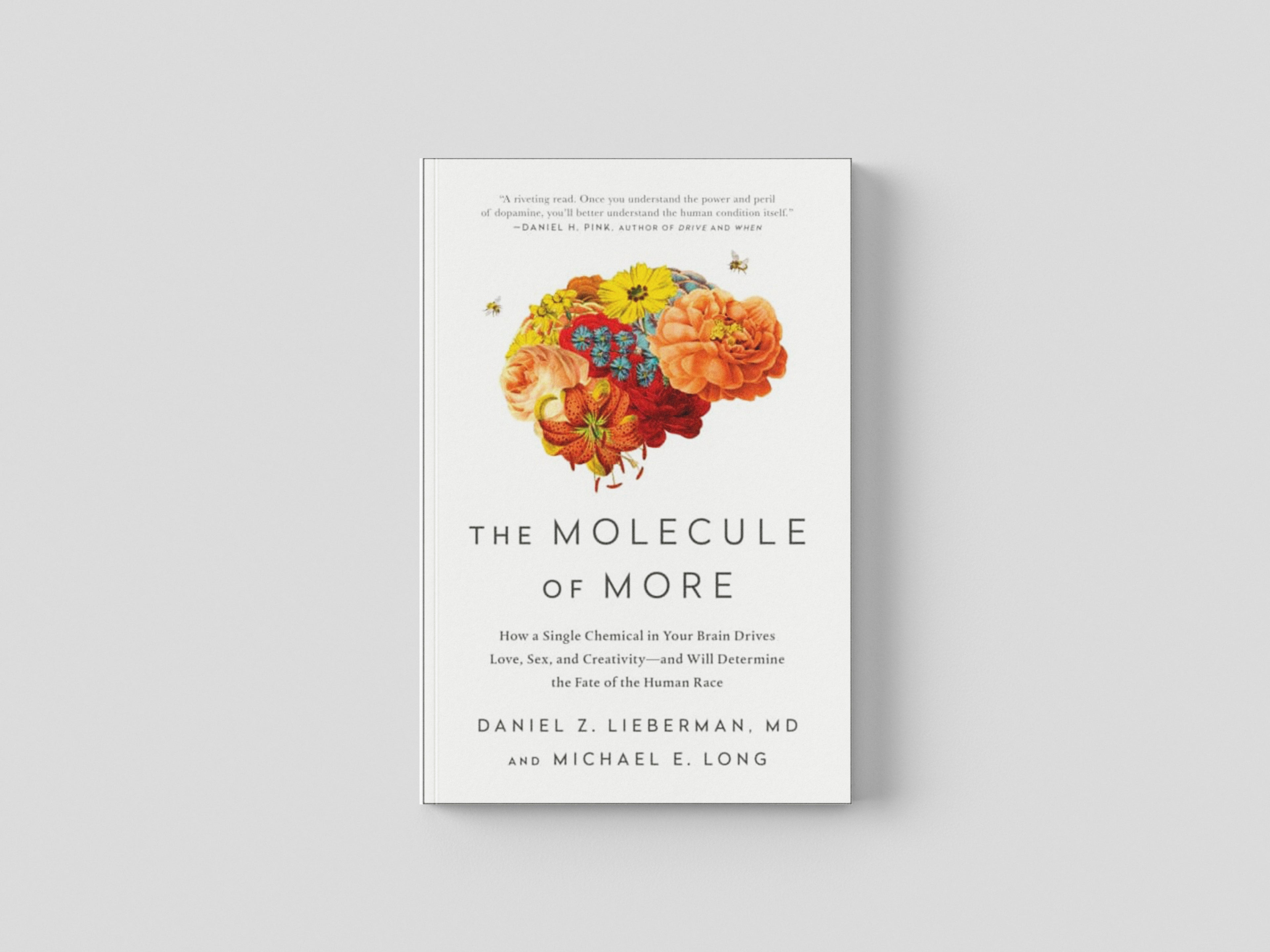 The Molecule of More Paperback / softback