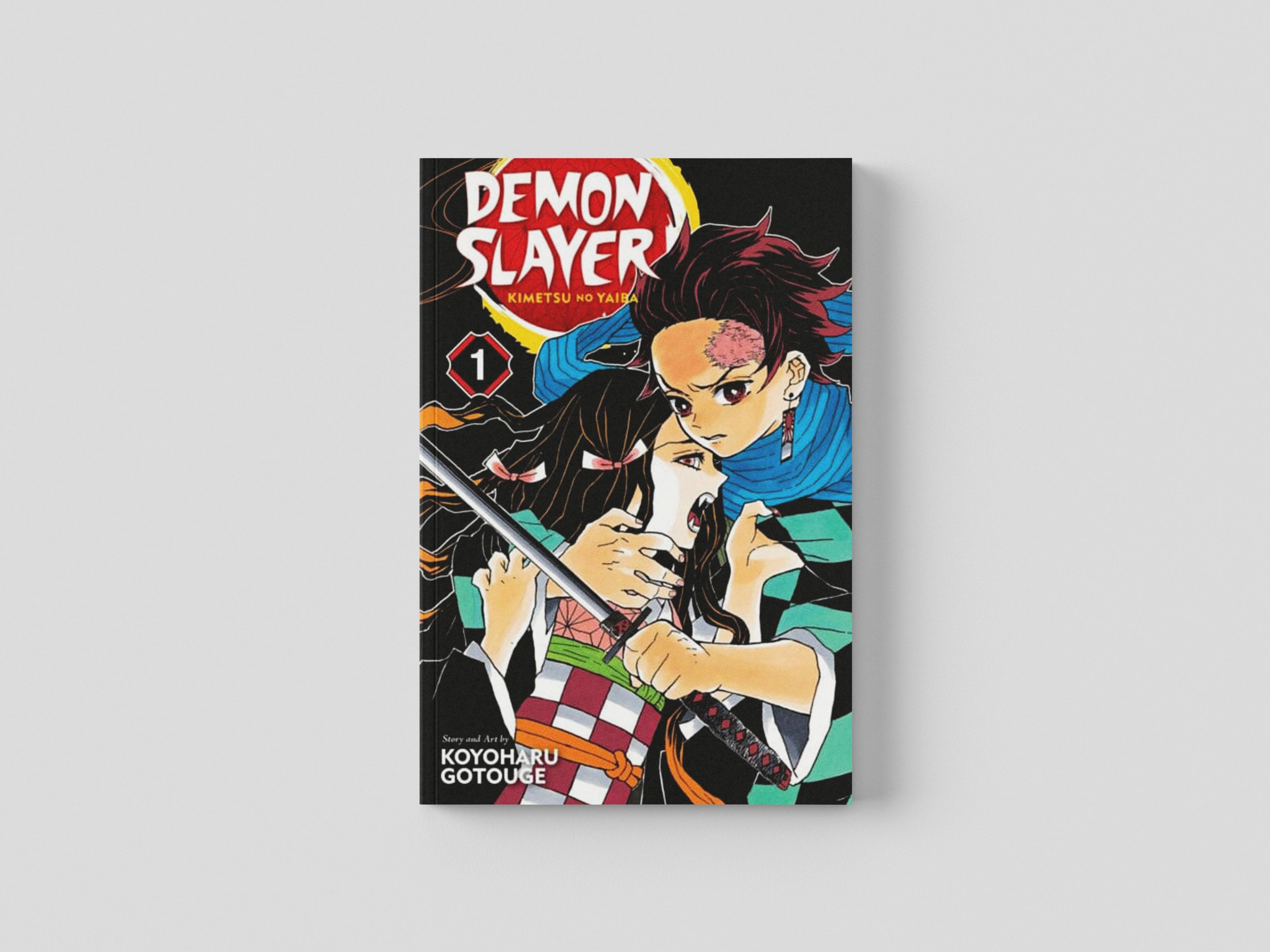 Demon Slayer: Kimetsu no Yaiba, Vol. 1 Paperback / softback