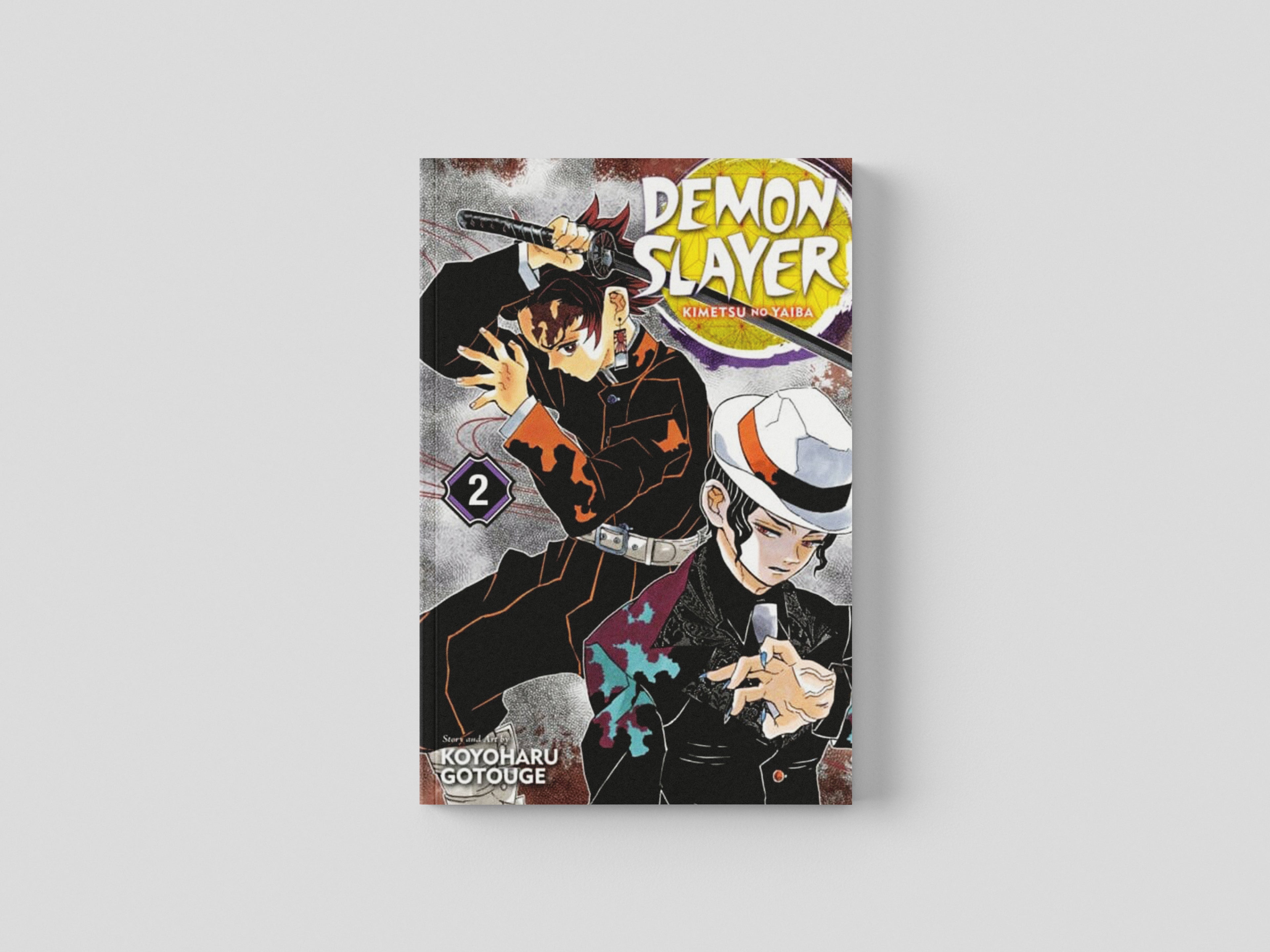 Demon Slayer: Kimetsu no Yaiba, Vol. 2 Paperback / softback