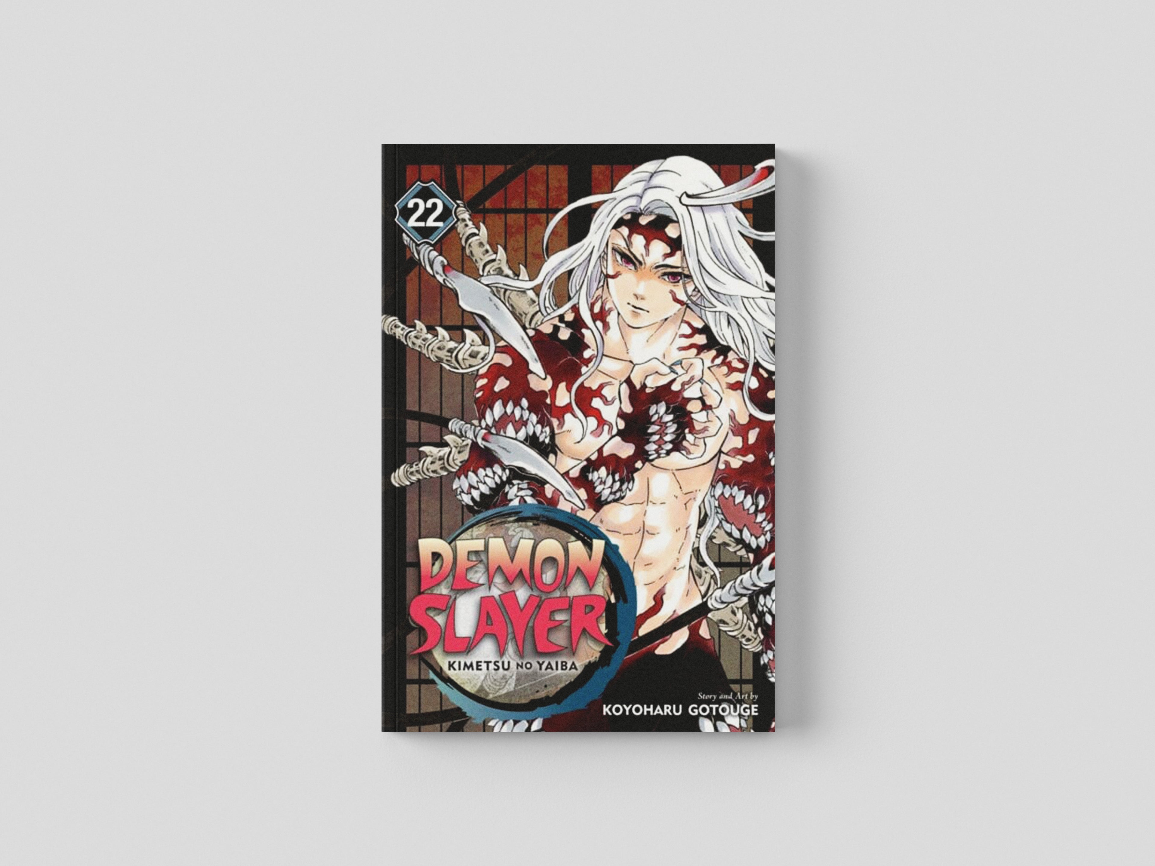 Demon Slayer: Kimetsu no Yaiba, Vol. 22 Paperback / softback