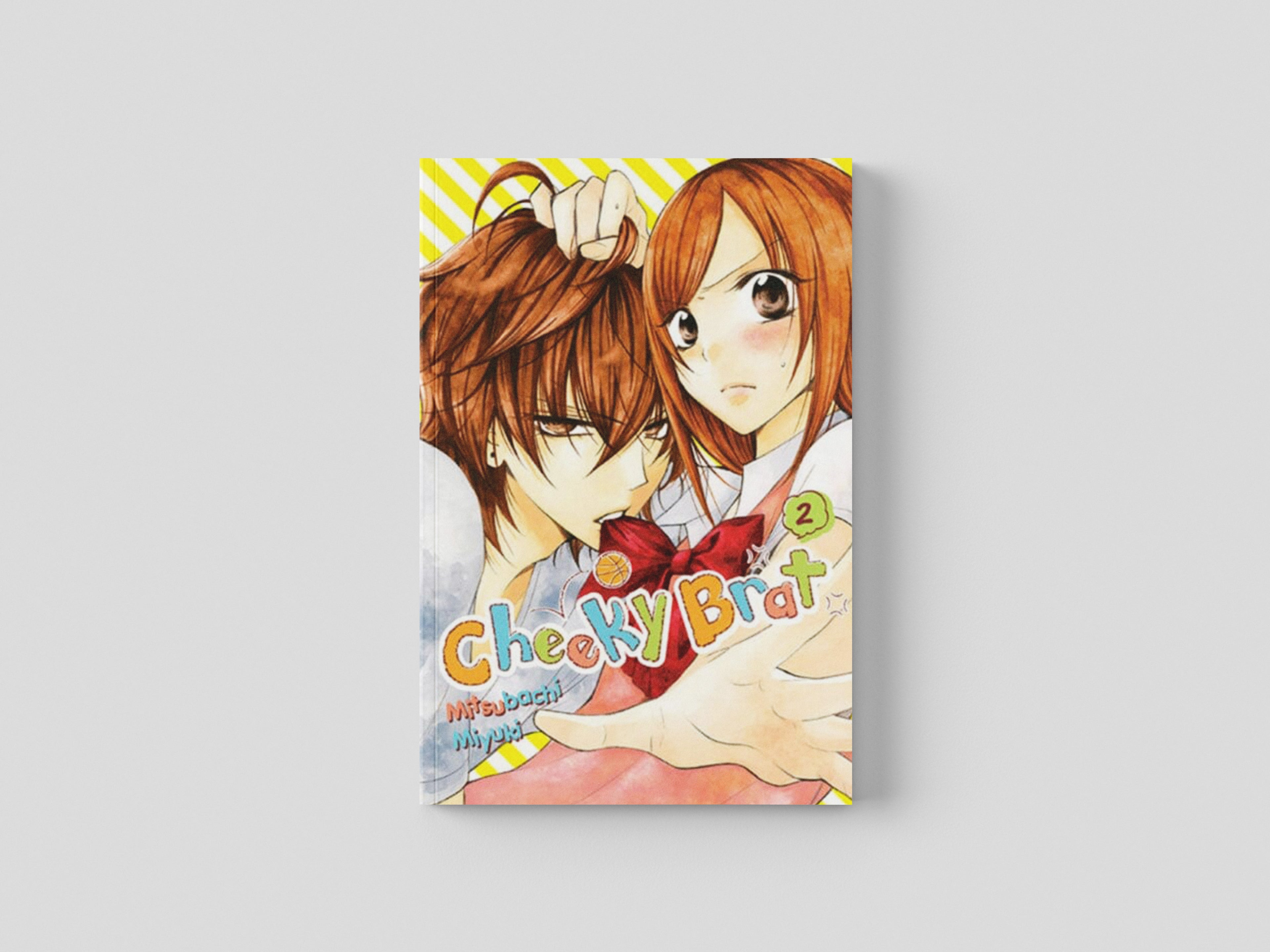 Cheeky Brat, Vol. 2 Paperback / softback