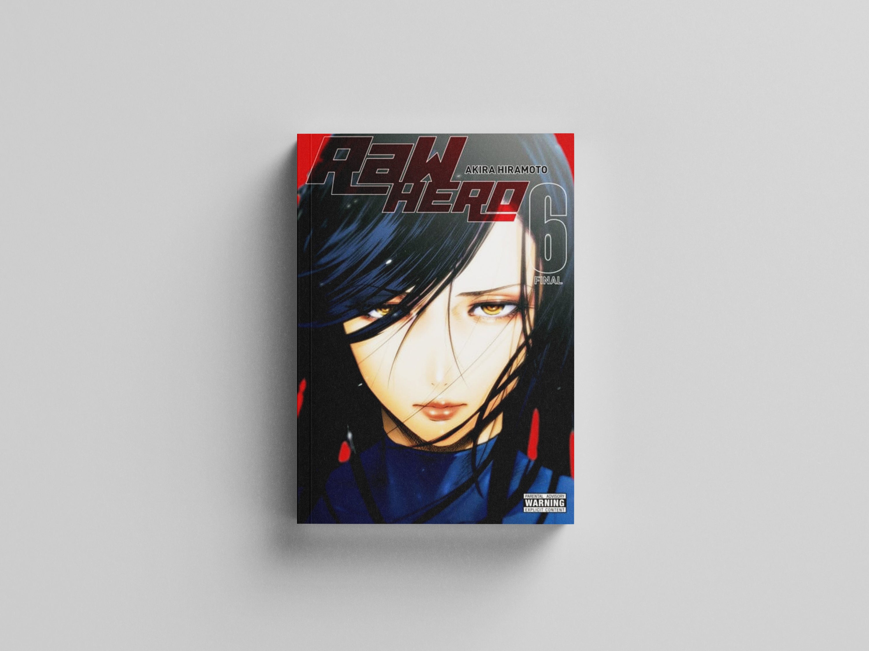 RaW Hero, Vol. 6 Paperback / softback