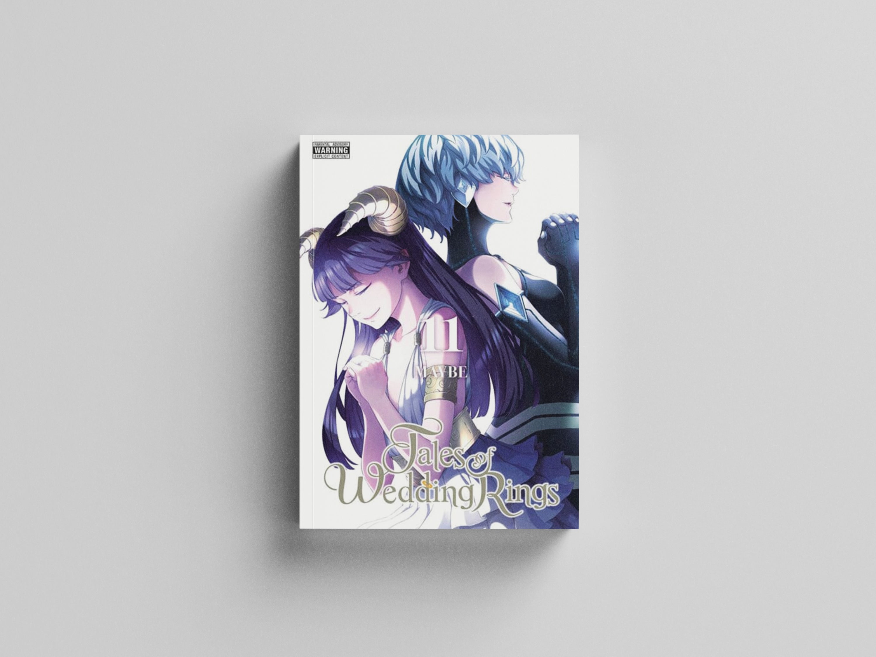 Tales of Wedding Rings, Vol. 11 Paperback / softback