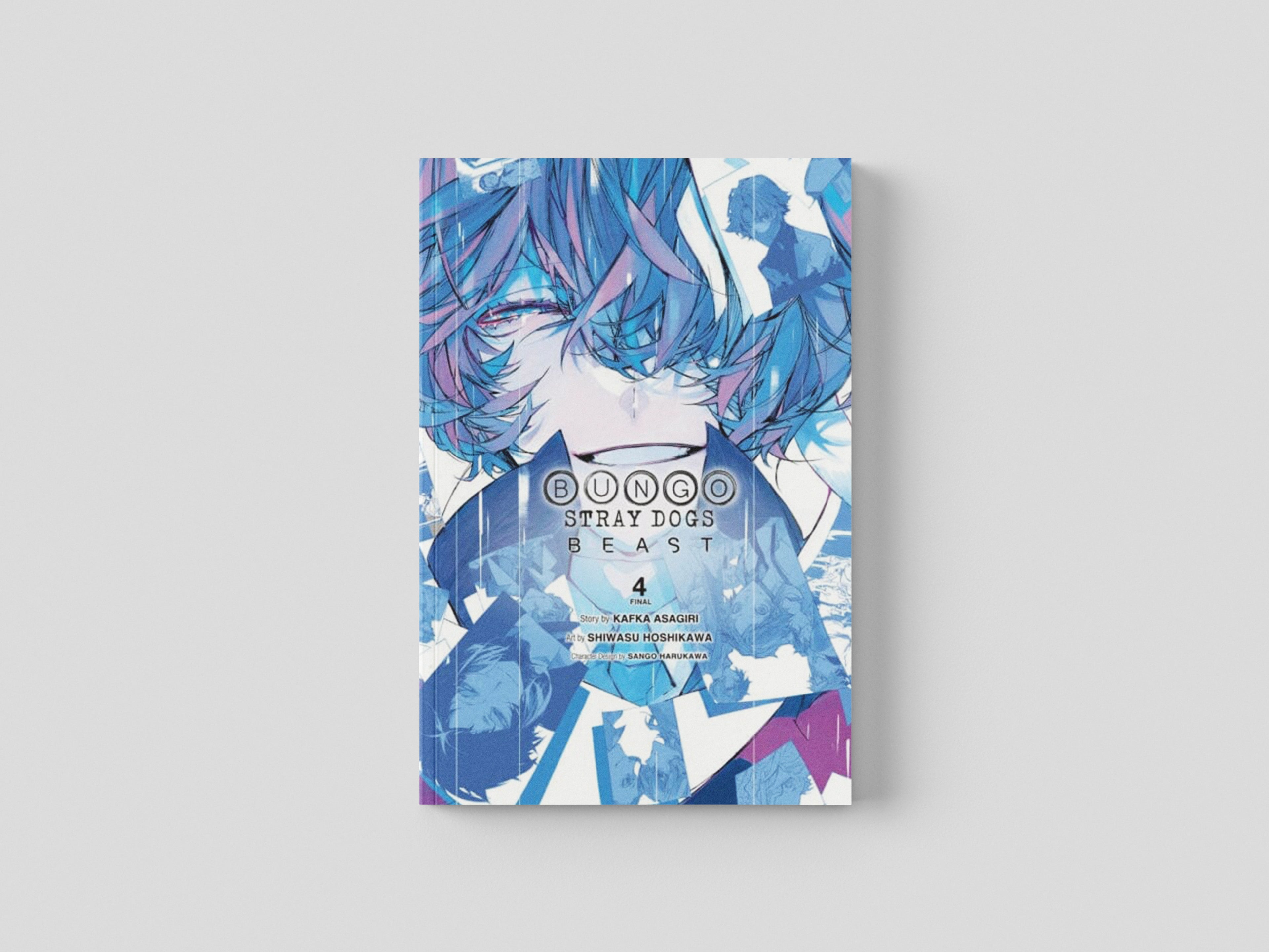 Bungo Stray Dogs: Beast, Vol. 4 Paperback / softback