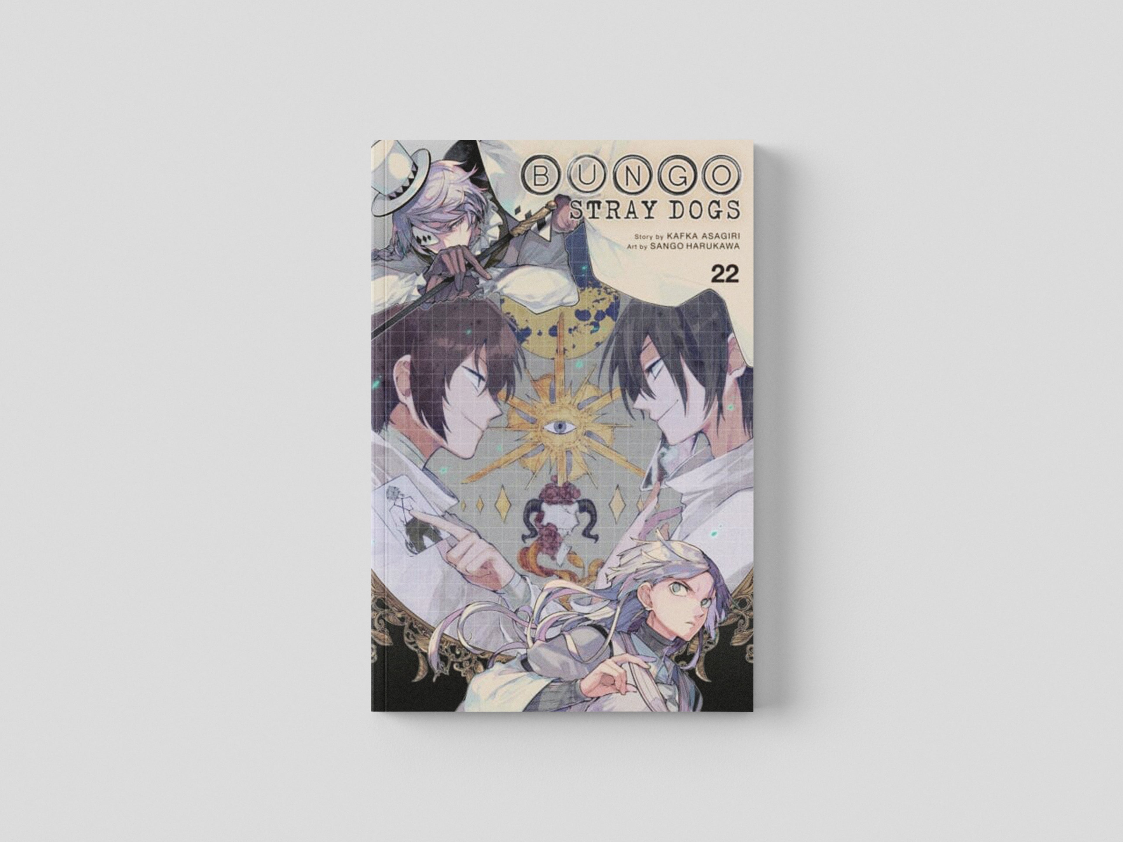 Bungo Stray Dogs, Vol. 22 Paperback / softback