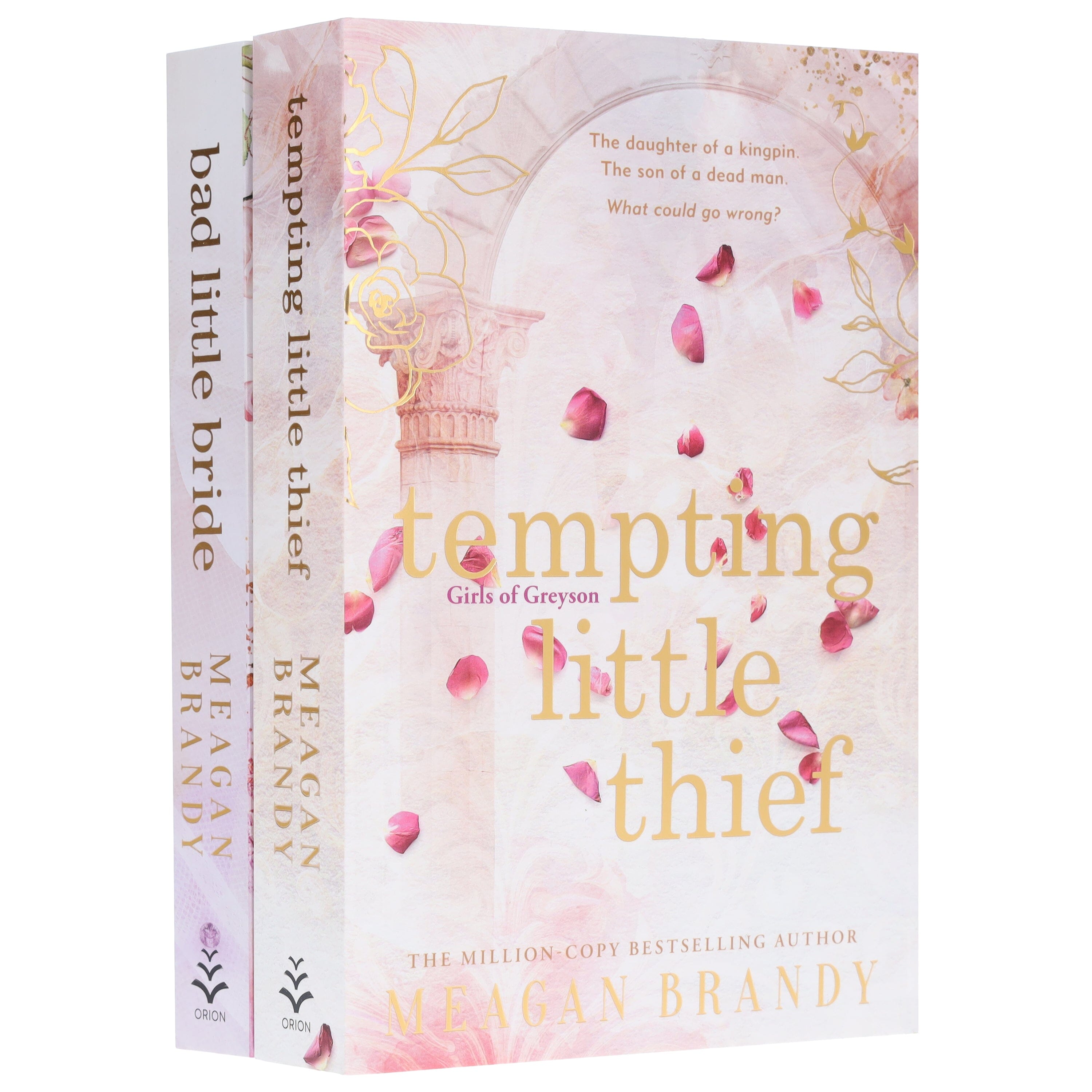 Girls of Greyson Series (Tempting Little Thief & Bad Little Bride) by Meagan Brandy 2 Books Collection Set - Fiction - Paperback