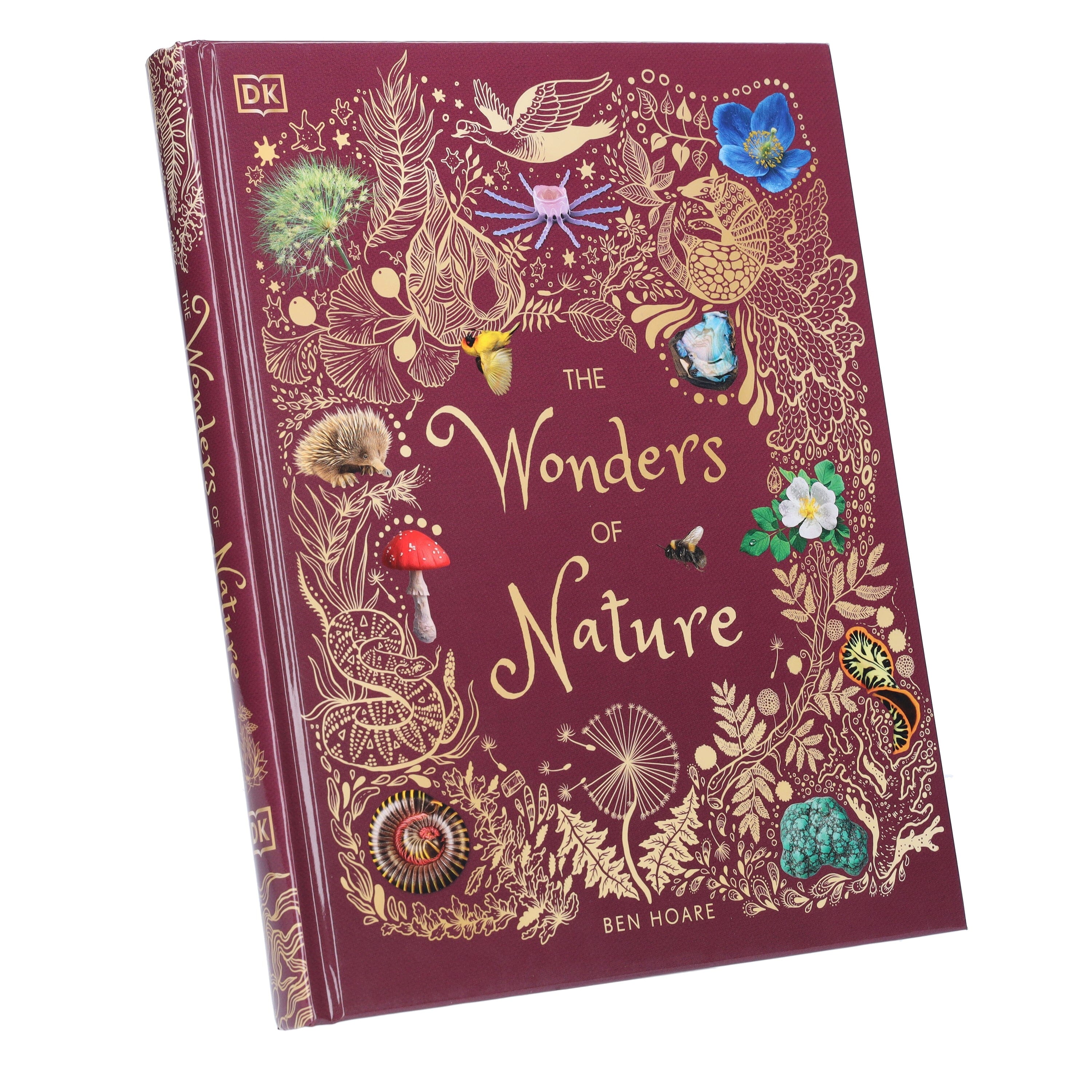 The Wonders of Nature by Ben Hoare (DK Children's Anthologies) - Ages 6-8 - Hardback