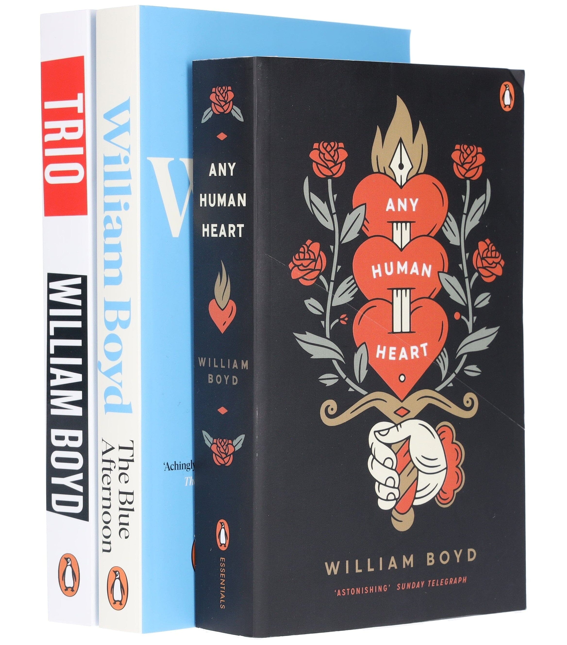 William Boyd Collection (Any Human Heart, The Blue Afternoon & Trio) 3 Books Set - Fiction - Paperback